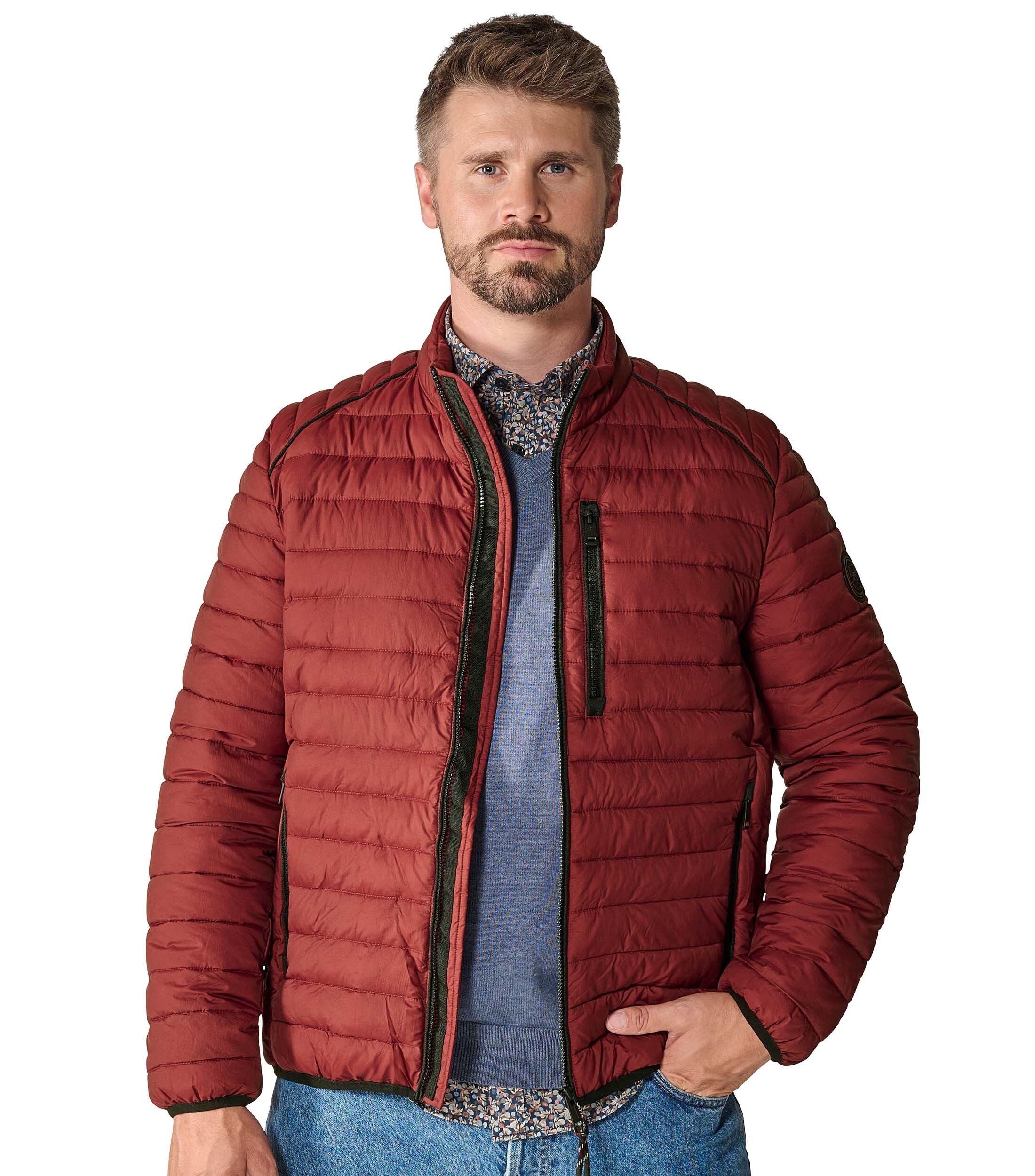 CASAMODA Steppjacke "CASAMODA Steppjacke uni" günstig online kaufen