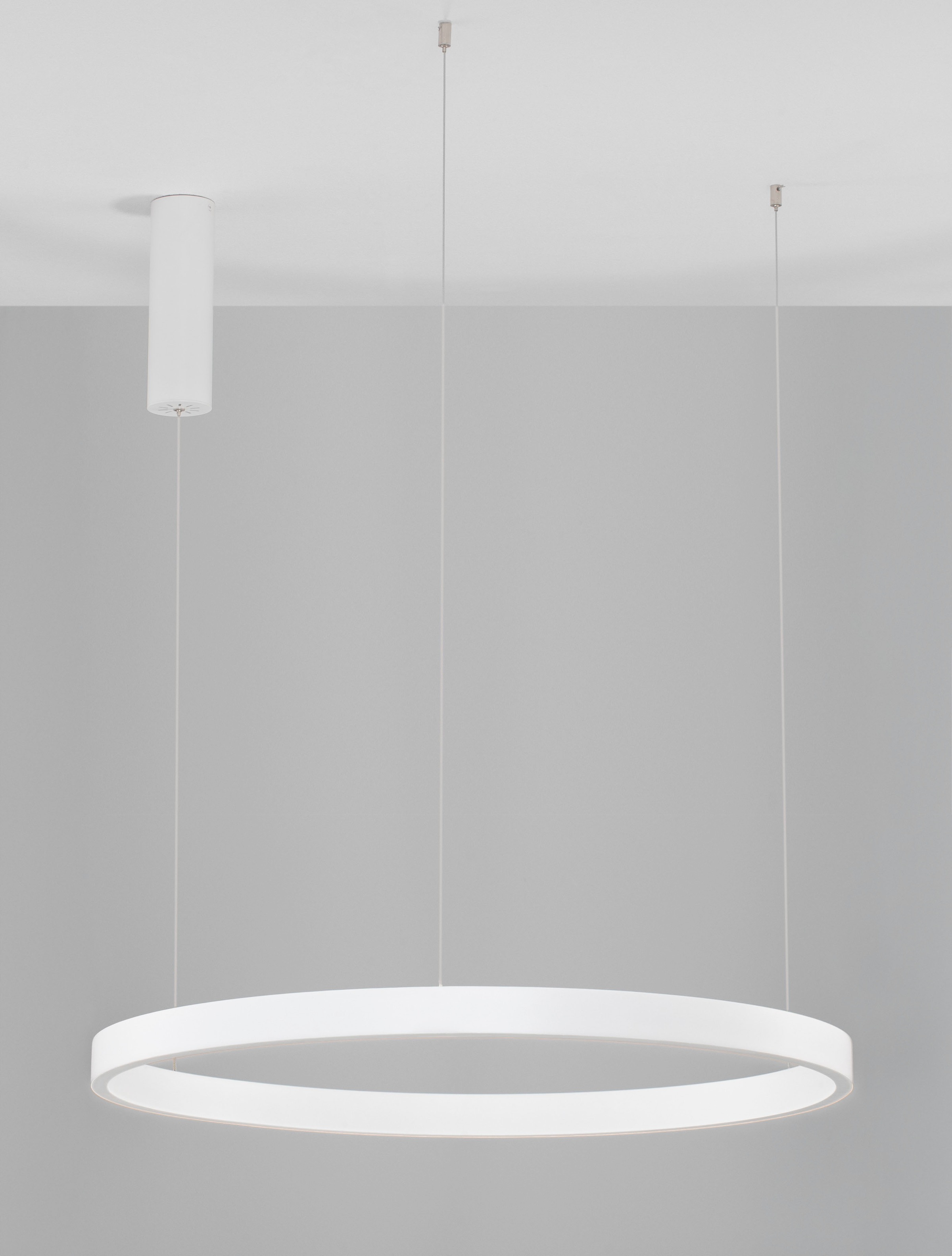 Nova Luce LED-Hängeleuchte »ELOWEN« LED-Modul 1 Stk. Warmweiß Dimmbar; Höhenverstellbar; Mit Leuchtmittel