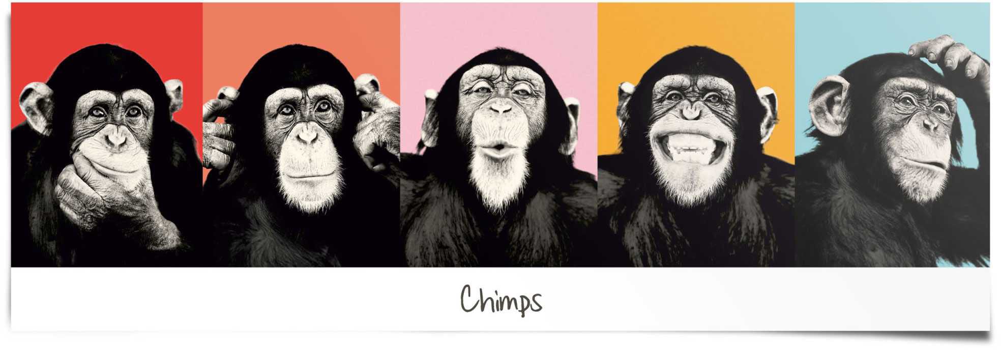 Reinders Poster "Schimpanse Pop", (1 St.) günstig online kaufen