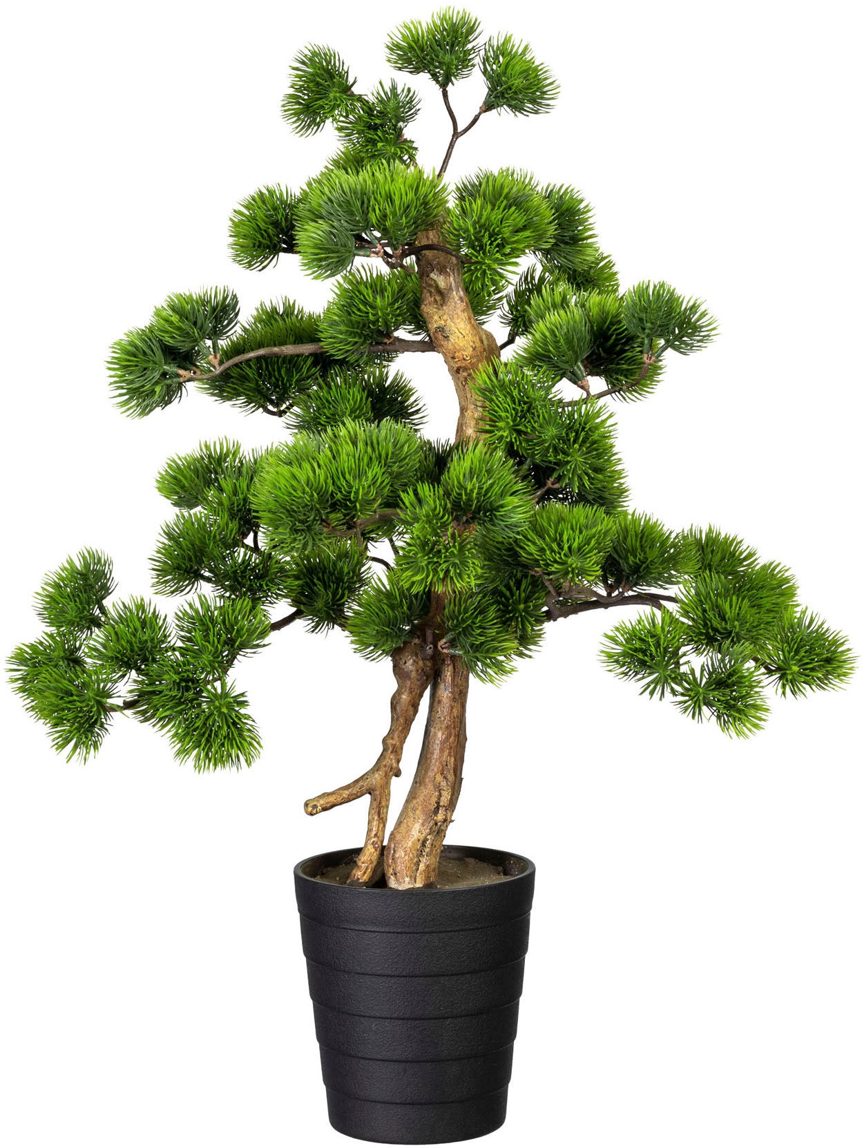 Creativ green Kunstbonsai »Bonsai Kiefer«