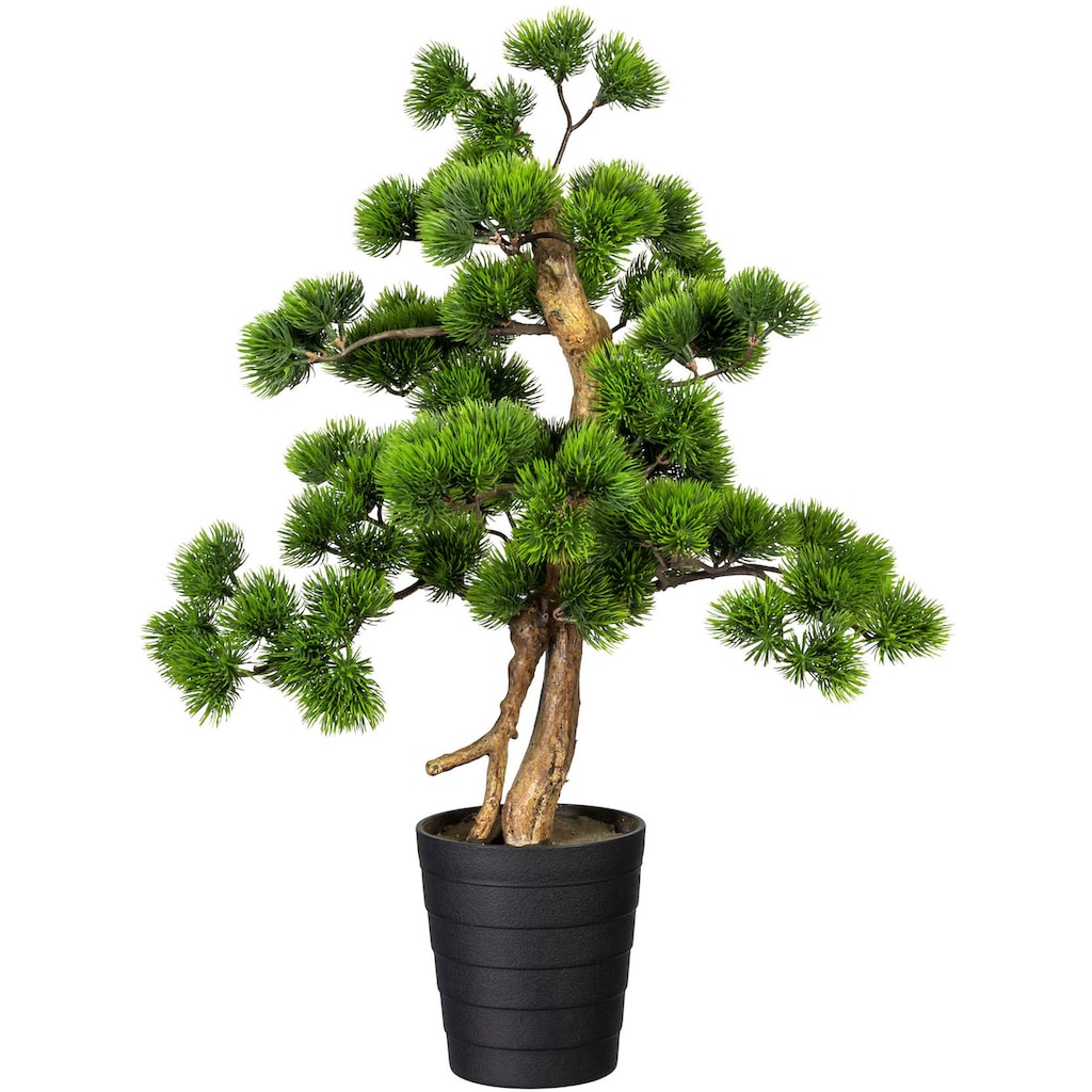 Creativ green Kunstbonsai »Bonsai Kiefer«