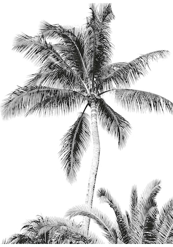 Komar Vliestapete »Retro Palm« 200x280 cm (B...