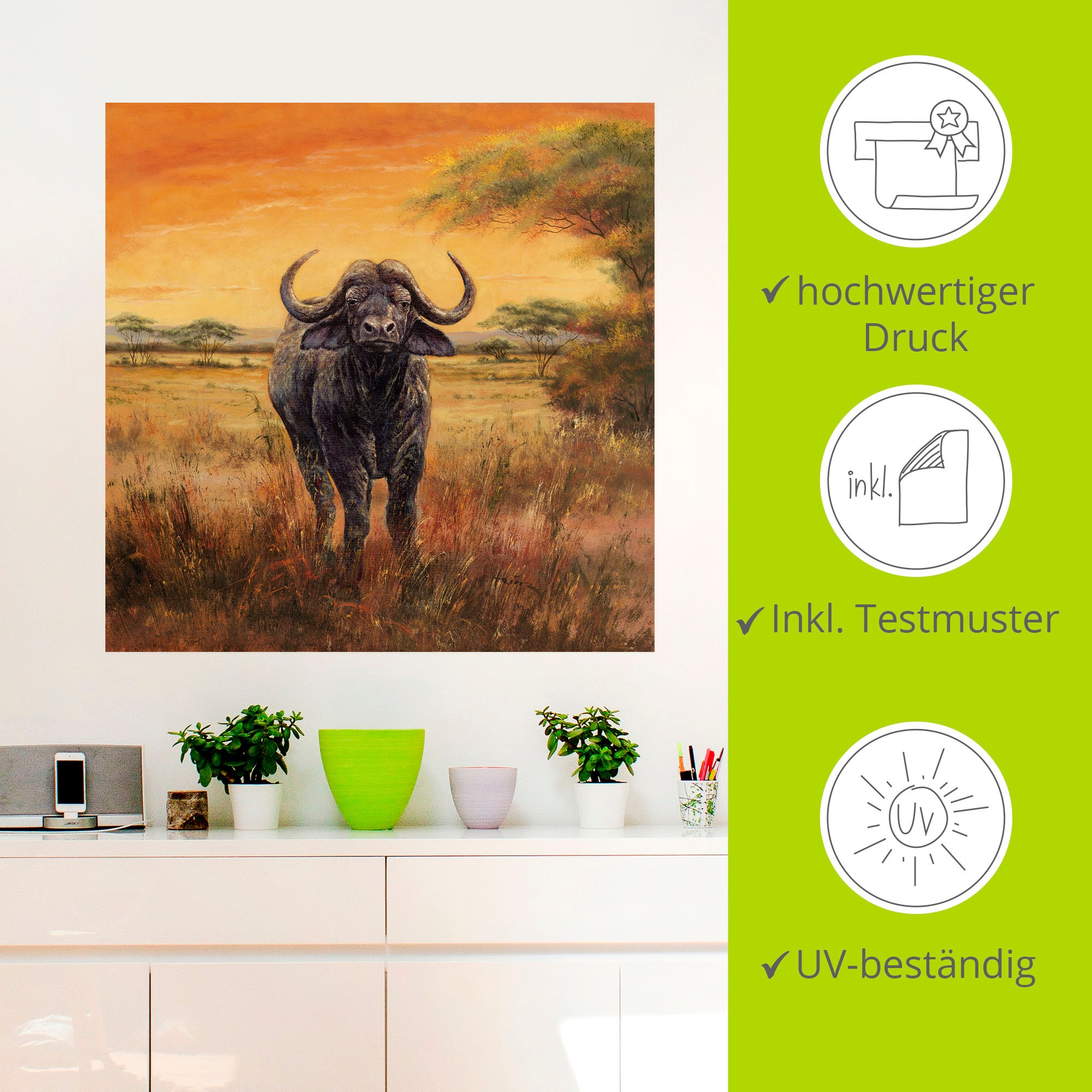 Artland Wandbild »Büffel«, Wildtiere, (1 St.), als Poster, Wandaufkleber in verschied. Größen