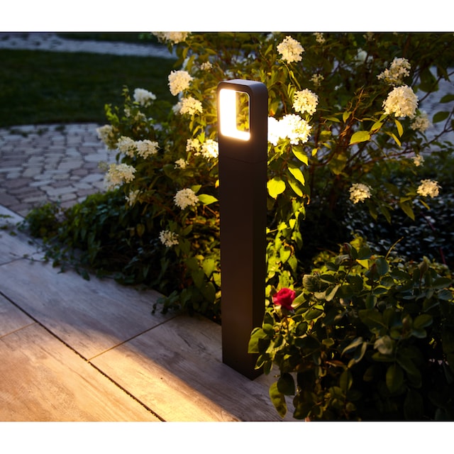 HEITRONIC LED Sockelleuchte »Juna«, 1 flammig-flammig, Pollerleuchte,  Außenlampe, indirekter Lichtaustritt nach unten kaufen | BAUR