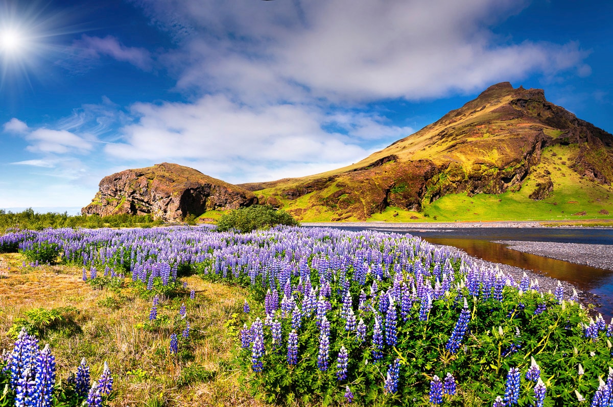 Papermoon Fototapete »BLUMEN LANDSCHAFT-SEE GEBIRGE BERGE LAVENDEL BLUME DEKO«