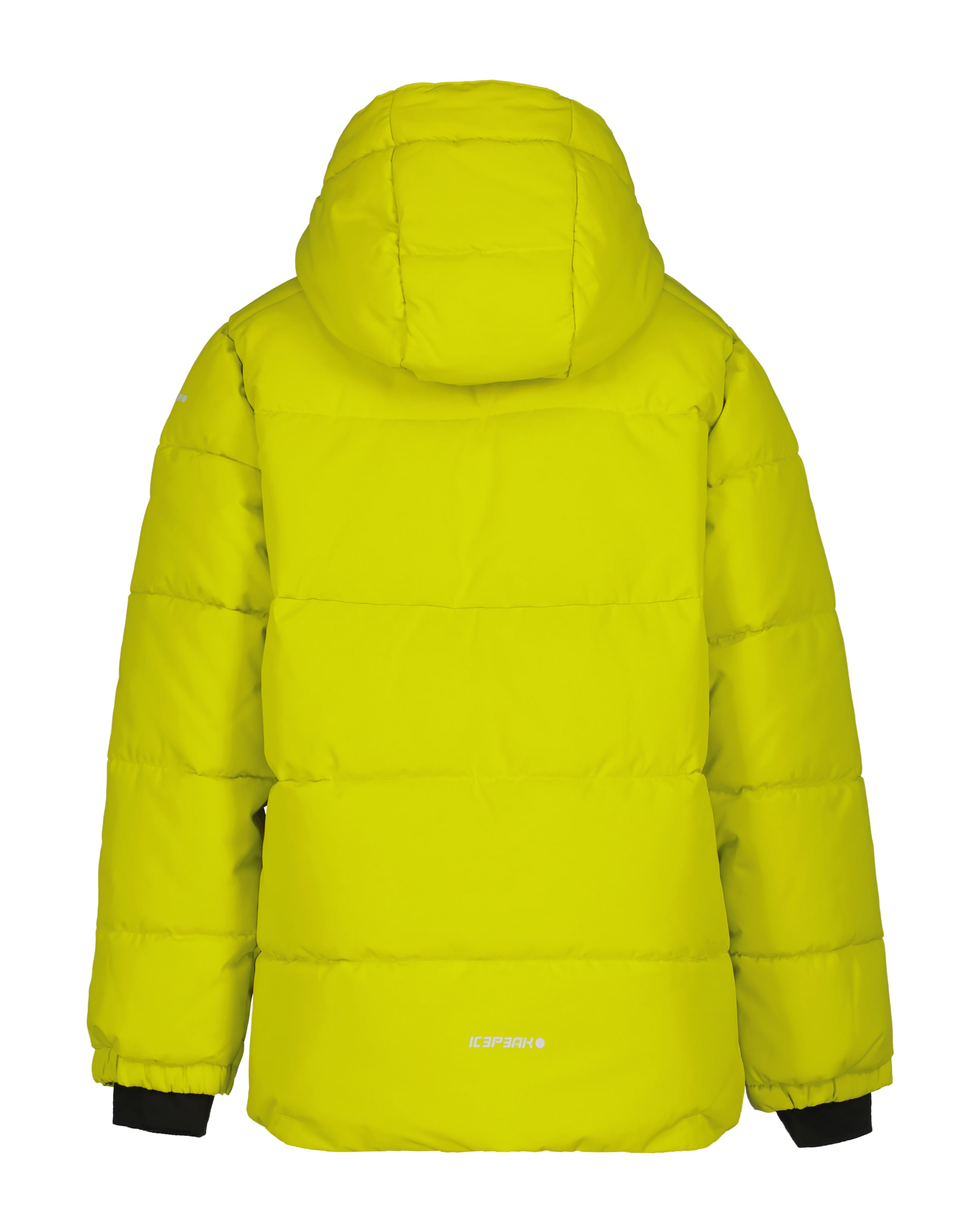 Icepeak Skijacke »LOUIN JR«, (1 St.), mit Kapuze, Winterjacke mit Öffnung für Kopfhörerkabel an der Innentasche