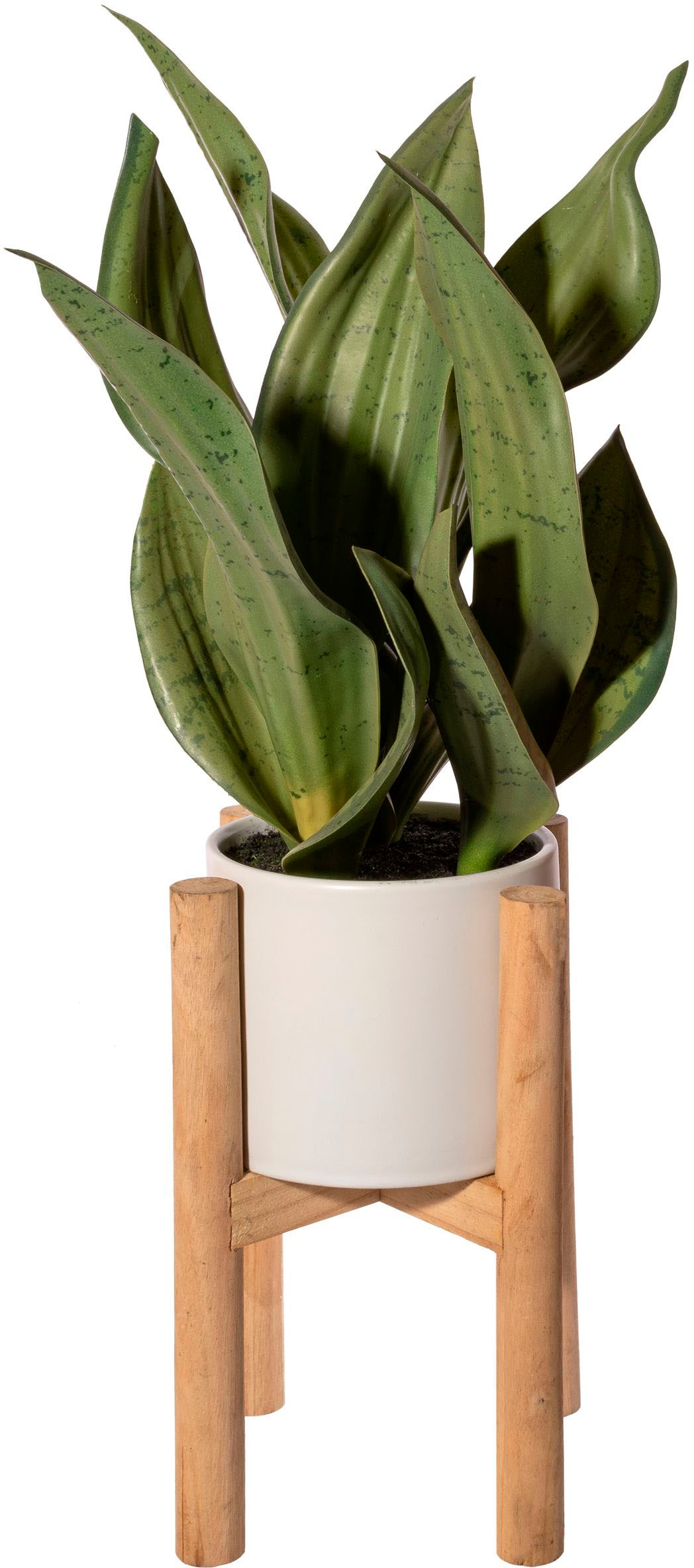 Creativ green Künstliche Zimmerpflanze »Sanseveria im Keramiktopf auf Holzrack«, (1... kaufen