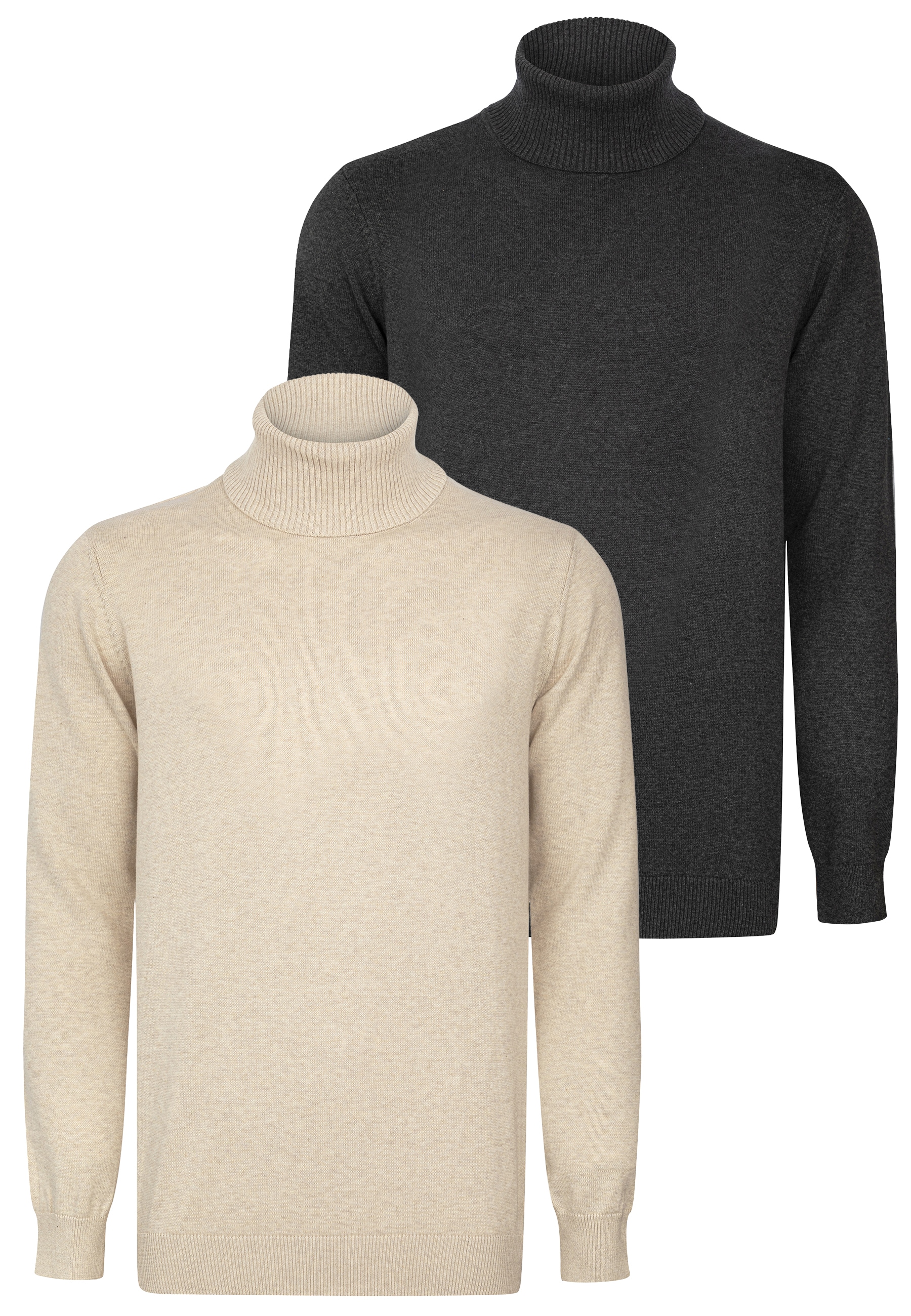 Felix Hardy Rollkragenpullover "Rollkragenpullover 2er-Pack" günstig online kaufen