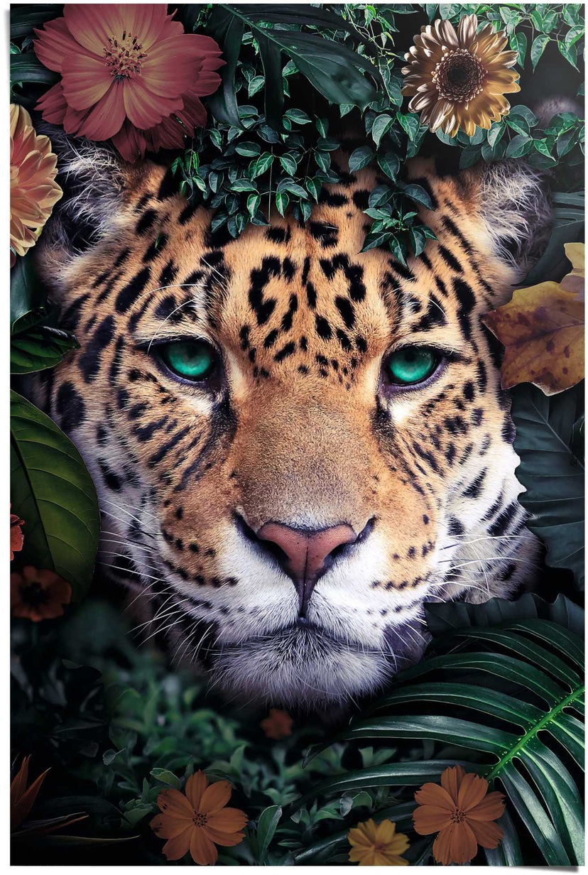 Reinders! Poster »Leopard«, Gartenposter den für Außeneinsatz und BAUR wasserfestes leichtes bestellen 