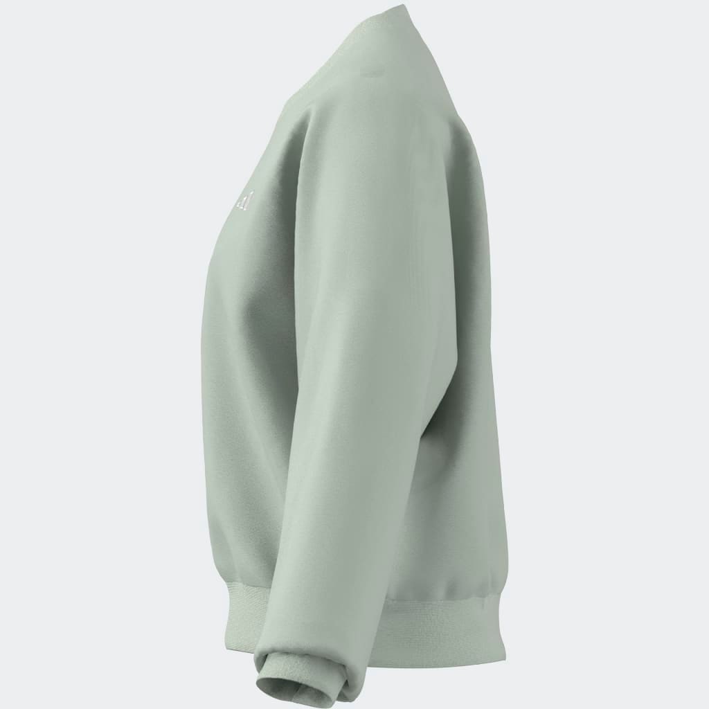 adidas Sportswear Sweatshirt »W SL FC SWT«