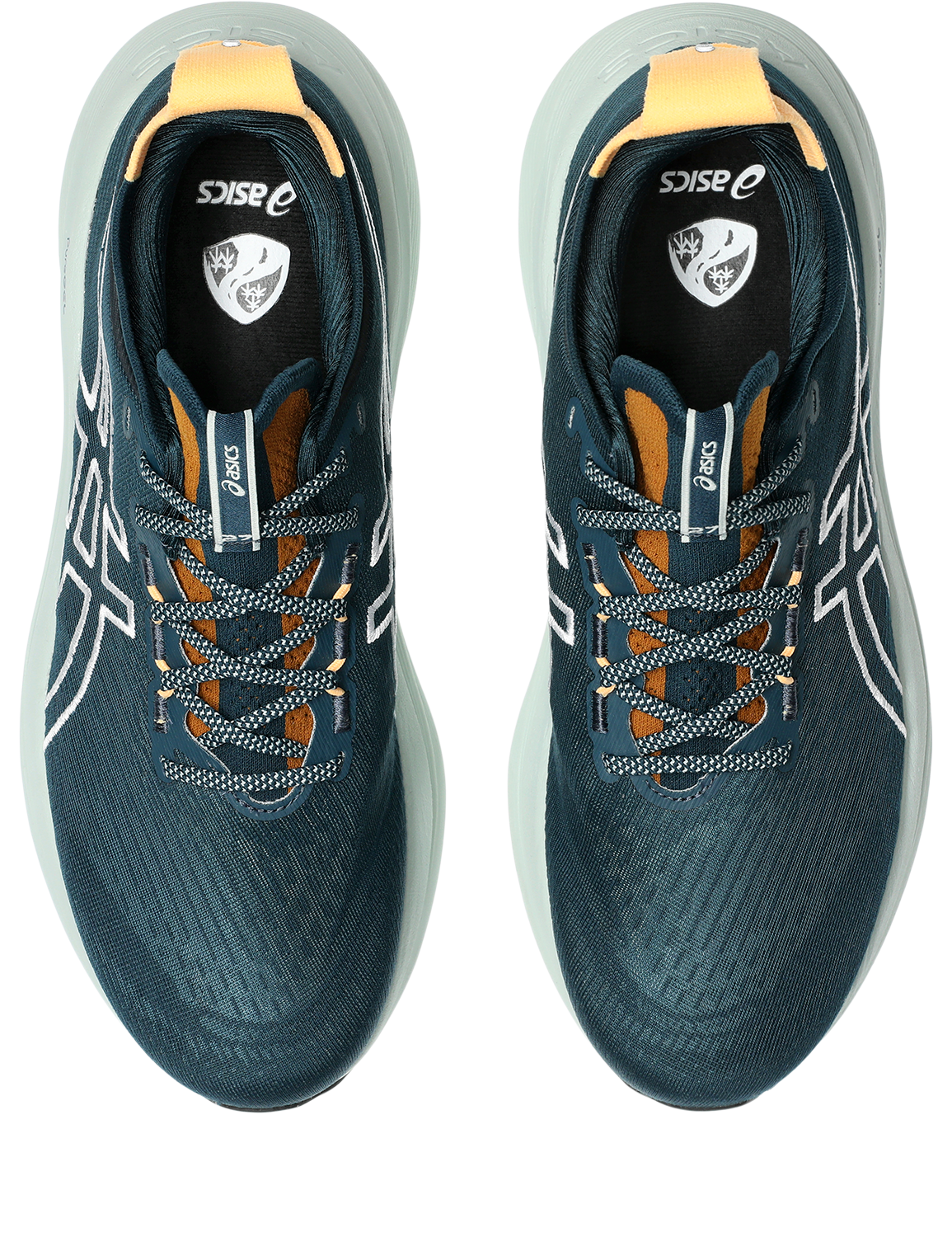 Asics Laufschuh »GEL-NIMBUS 27 TR«