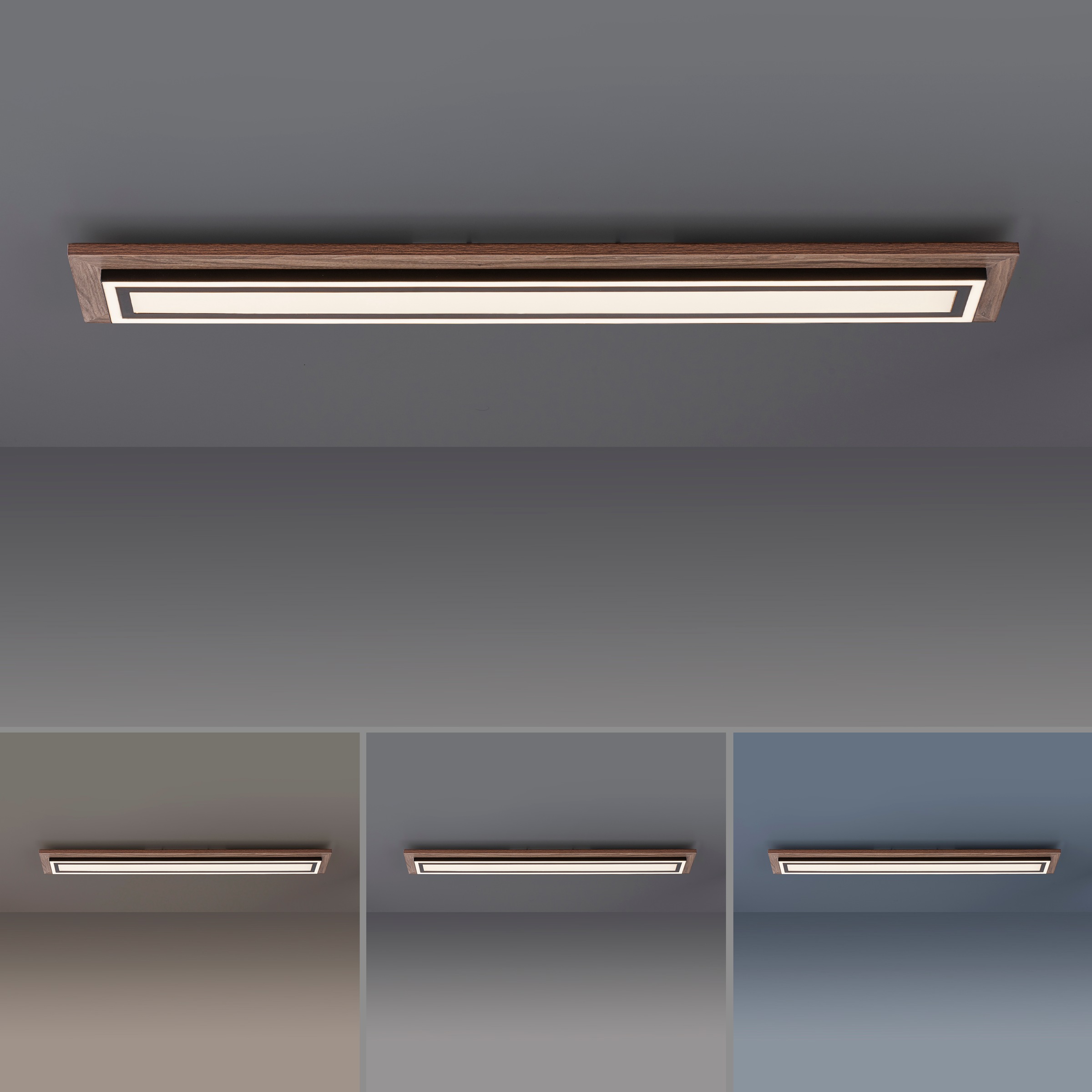 Paul Neuhaus Deckenleuchte »PALMA«, 2 flammig, Leuchtmittel LED-Board-LED-Board | LED fest integriert, CCT - über Fernbedienung, dimmbar über Fernbedienung, Serienschalter