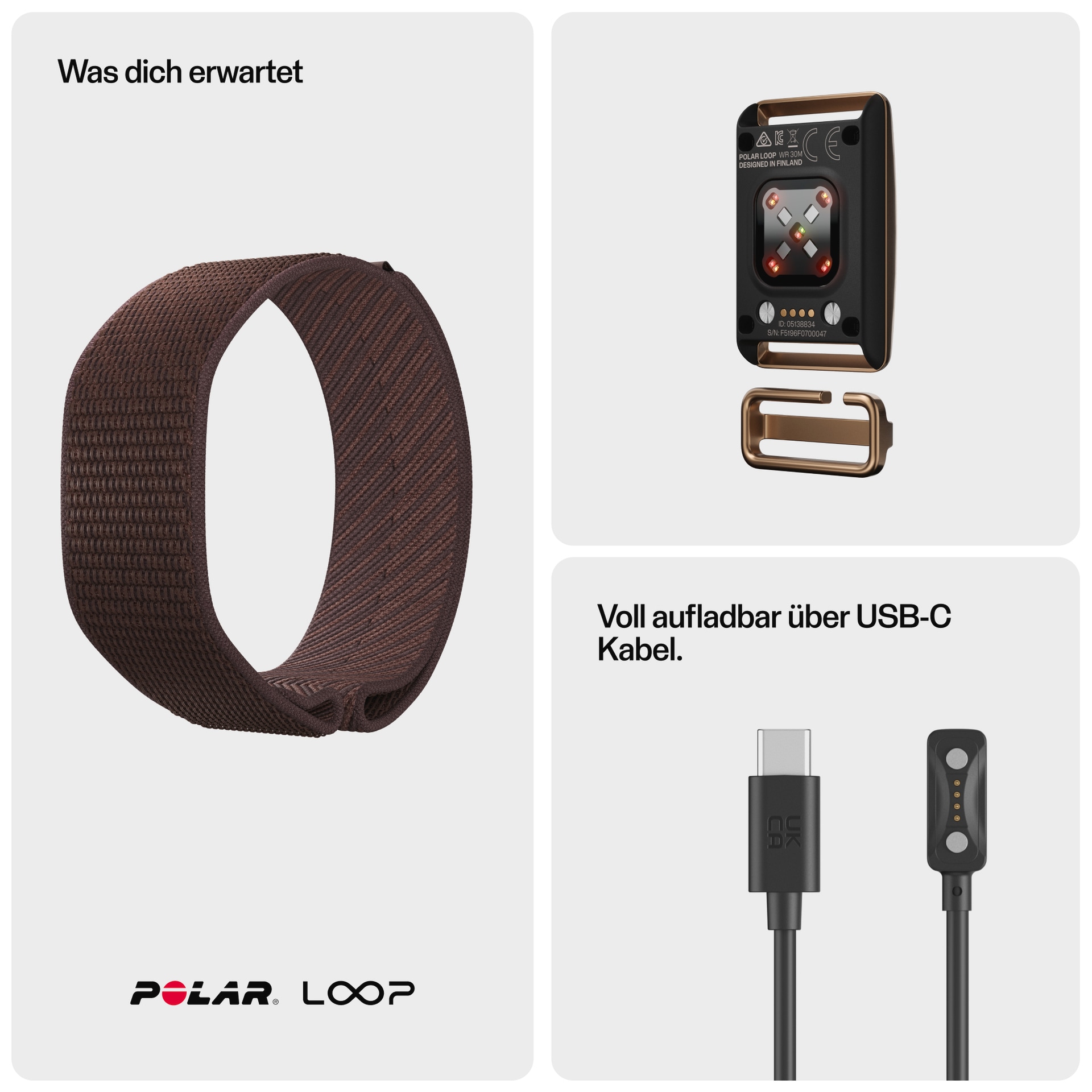 Polar Fitness-Tracker »LOOP GEN2 S-L«