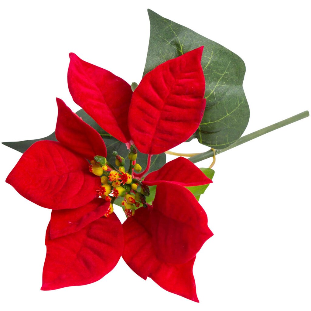 Botanic-Haus Kunstblume »Edel-Poinsettienpick«