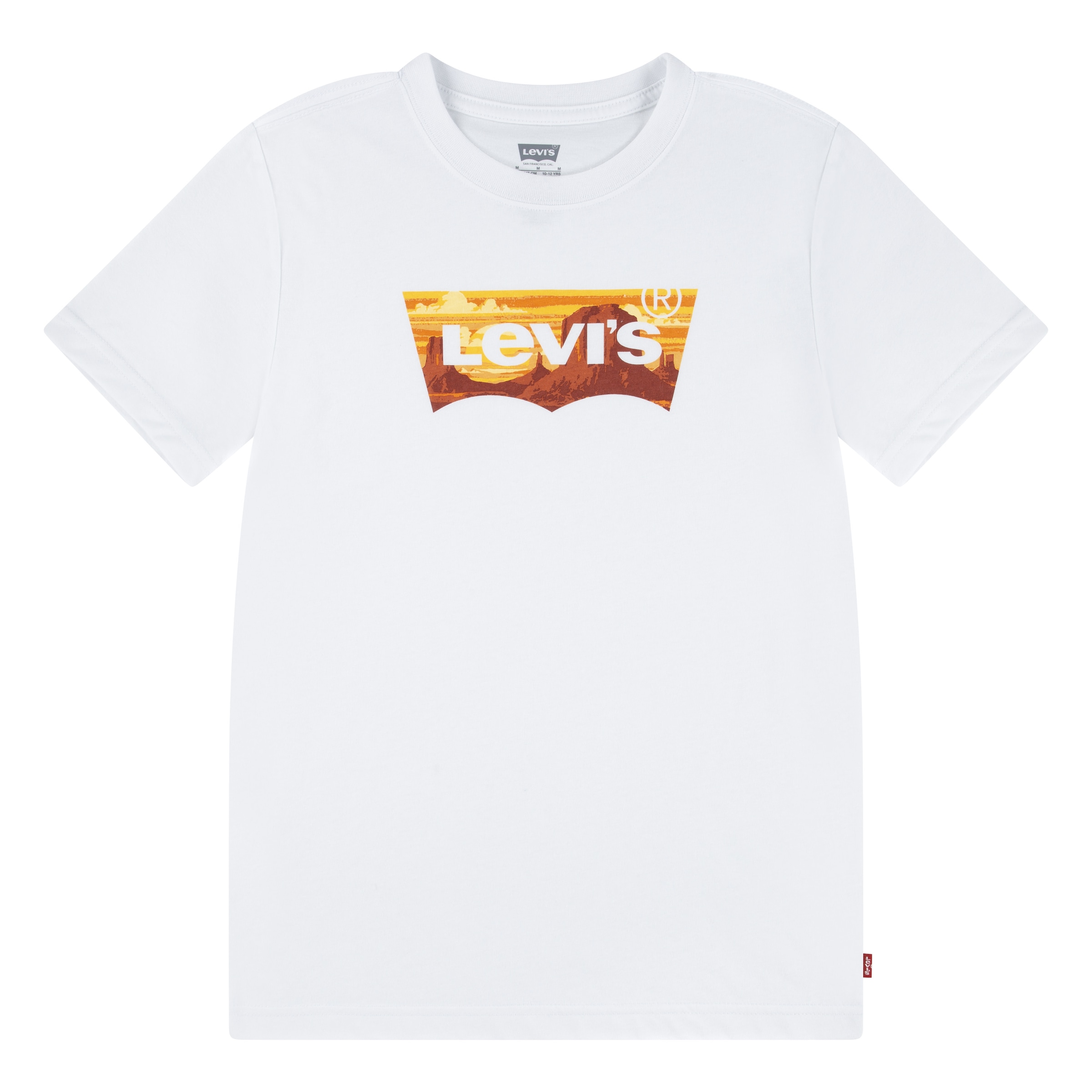 Levi's® Kids T-Shirt »LVB GOLDEN GLOW BATWING TEE«, mit großem Logo