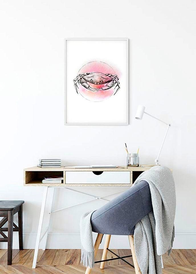 Komar Bild »Crab Watercolor«, Tiere, (1 St.), Wandbild zur Dekoration - ohne Rahmen