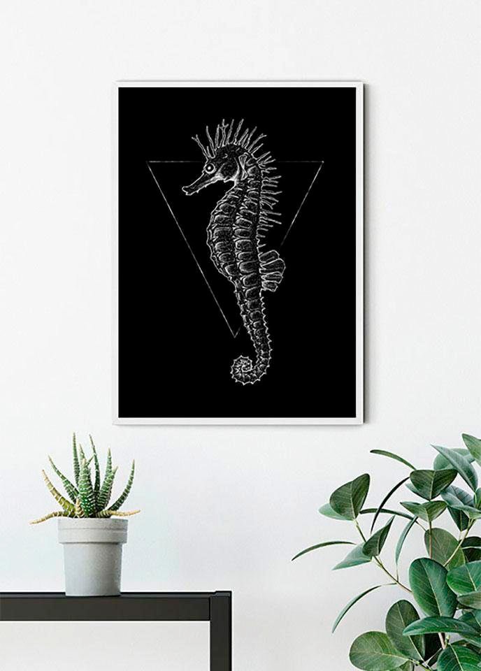 Komar Poster "Sea Horse Black", Tiere, (1 St.), Kinderzimmer, Schlafzimmer, Wohnzimmer