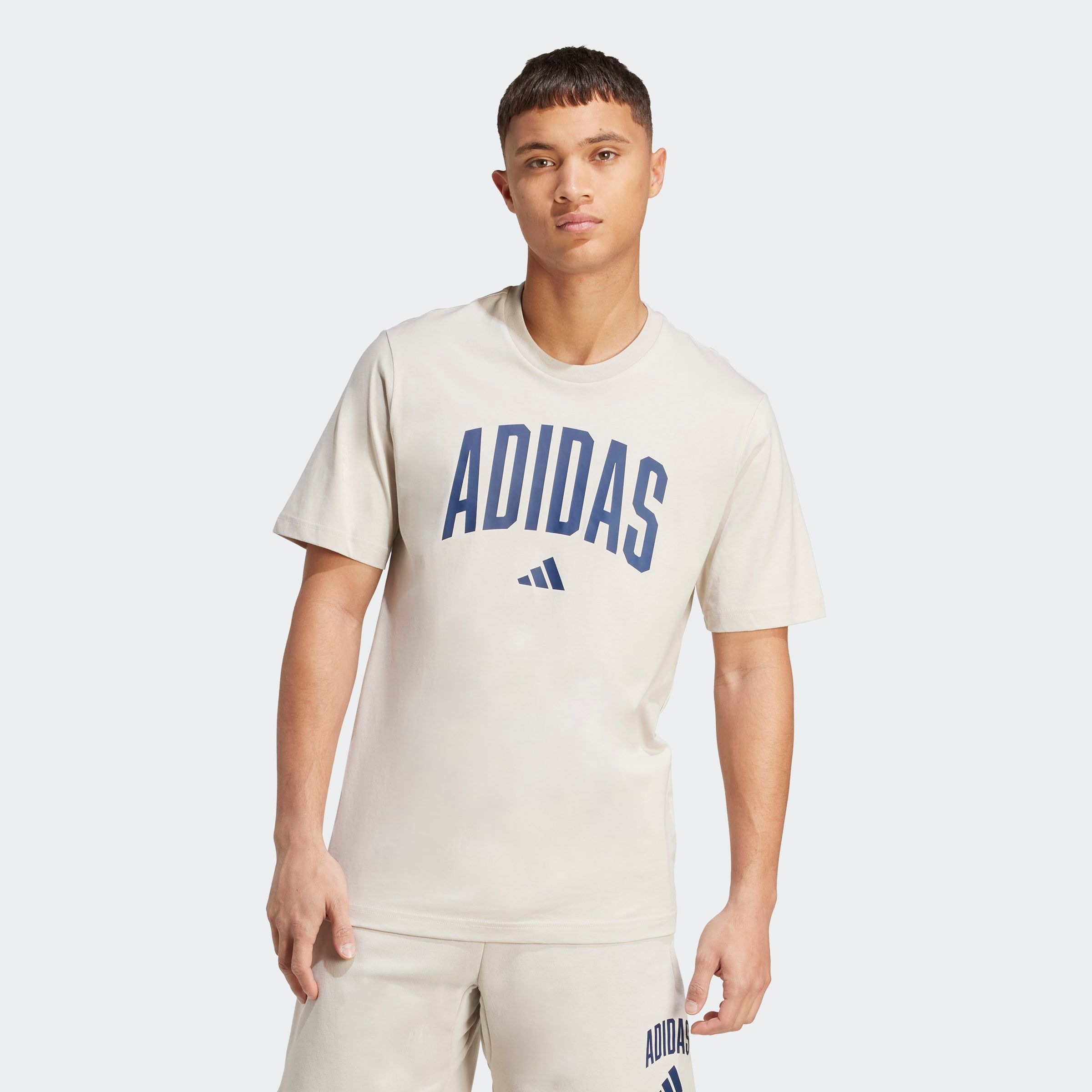 adidas Sportswear T-Shirt "M COLLEGIATE T" sportlicher Schnitt, kurze Ärmel günstig online kaufen
