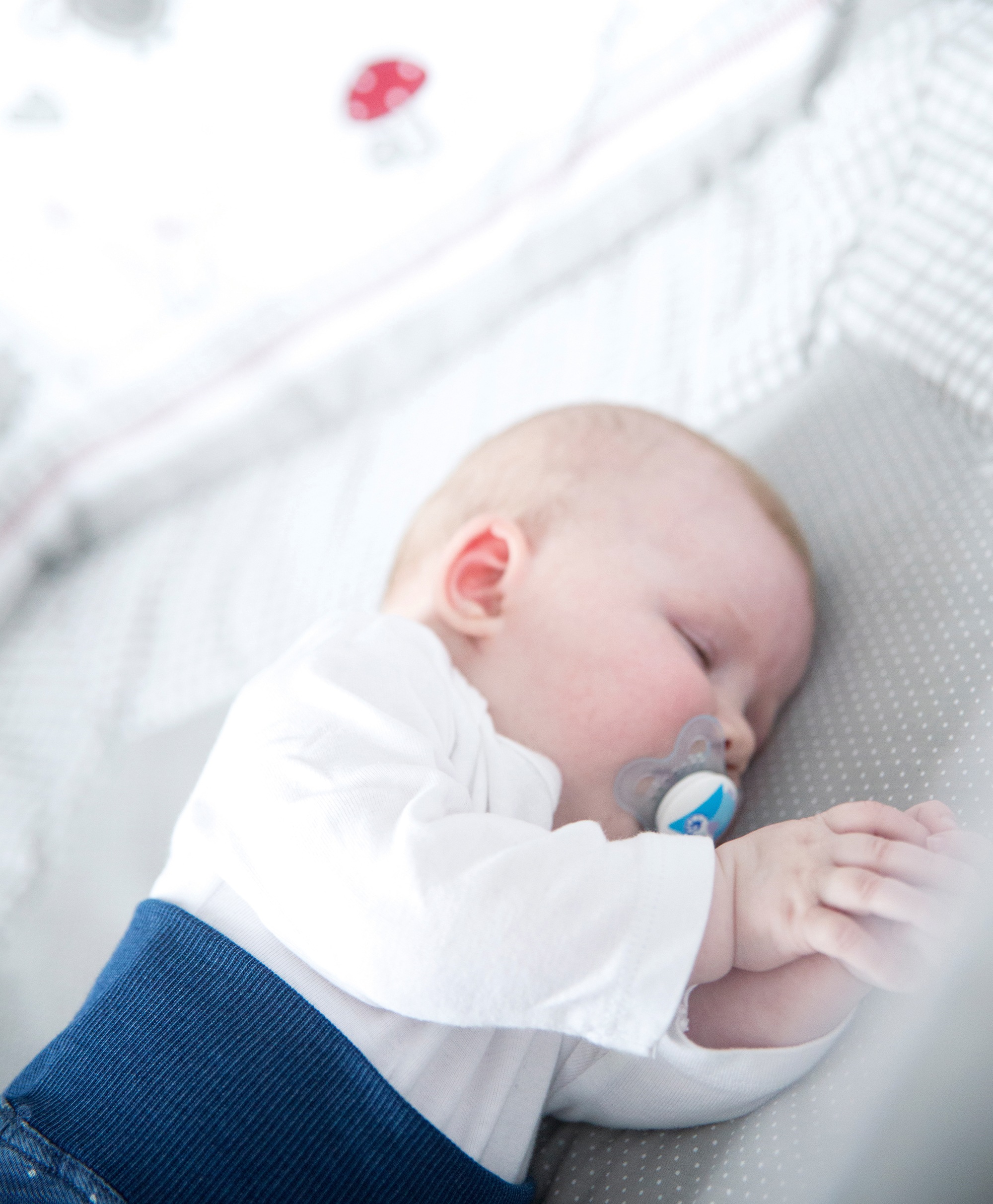 roba Laufgitter "Cosiplay Adam & Eule, natur, 6-eckig" bis 15 kg mit Stoffe günstig online kaufen