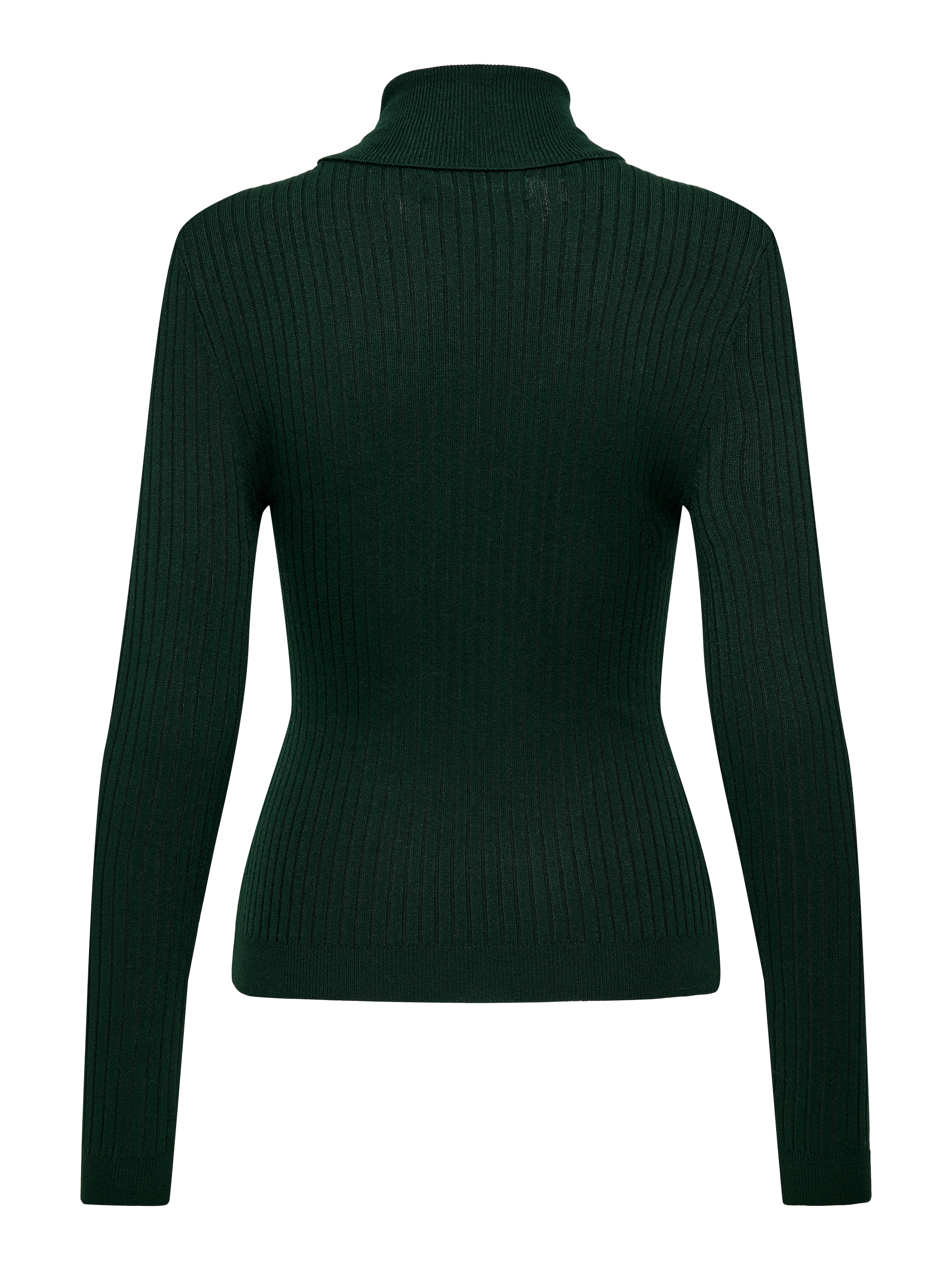ONLY Rollkragenpullover »ONLKAROL L/S ROLLNECK PULLOVER KNT NOOS«