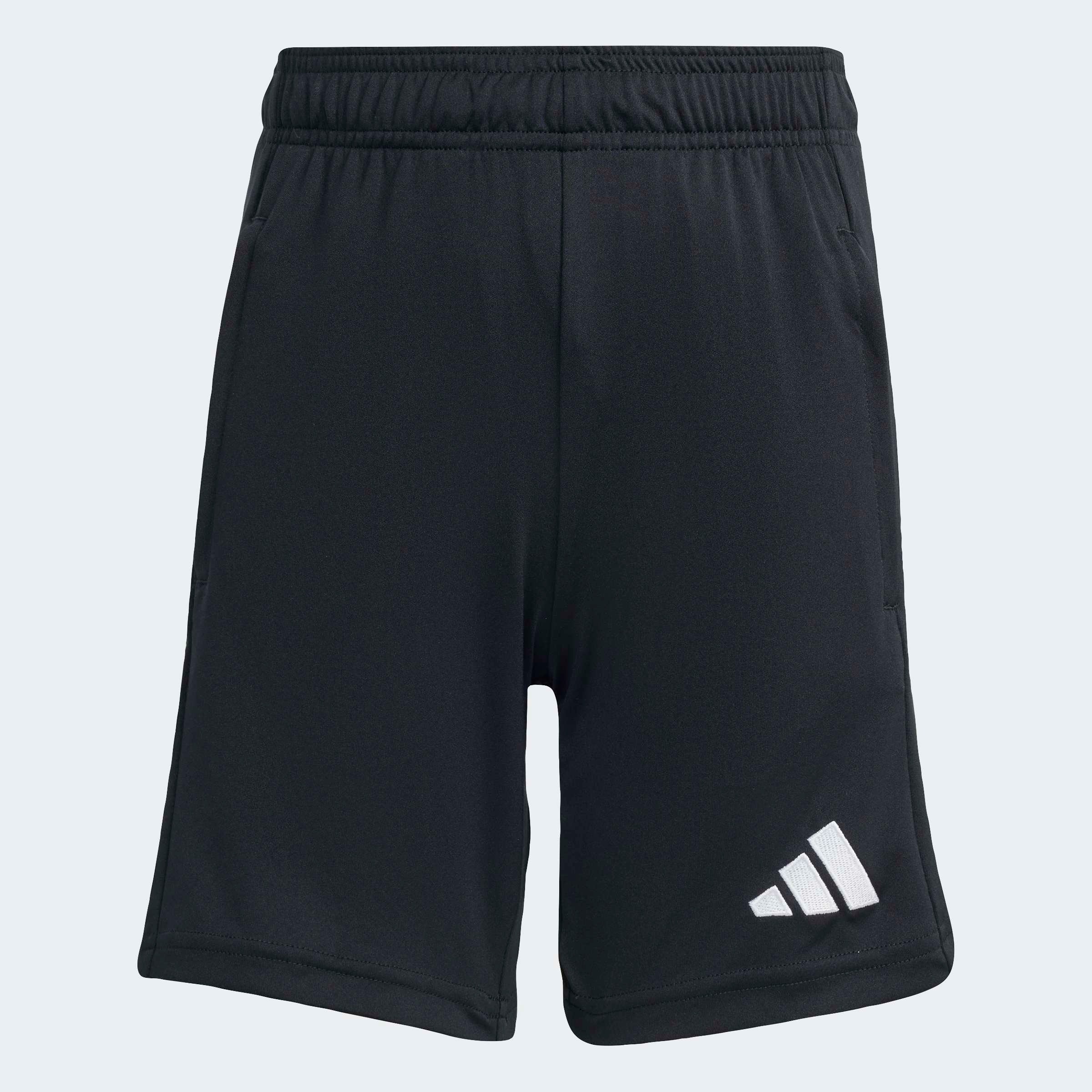adidas Performance Trainingsshorts »ENT26 TR SHOY«