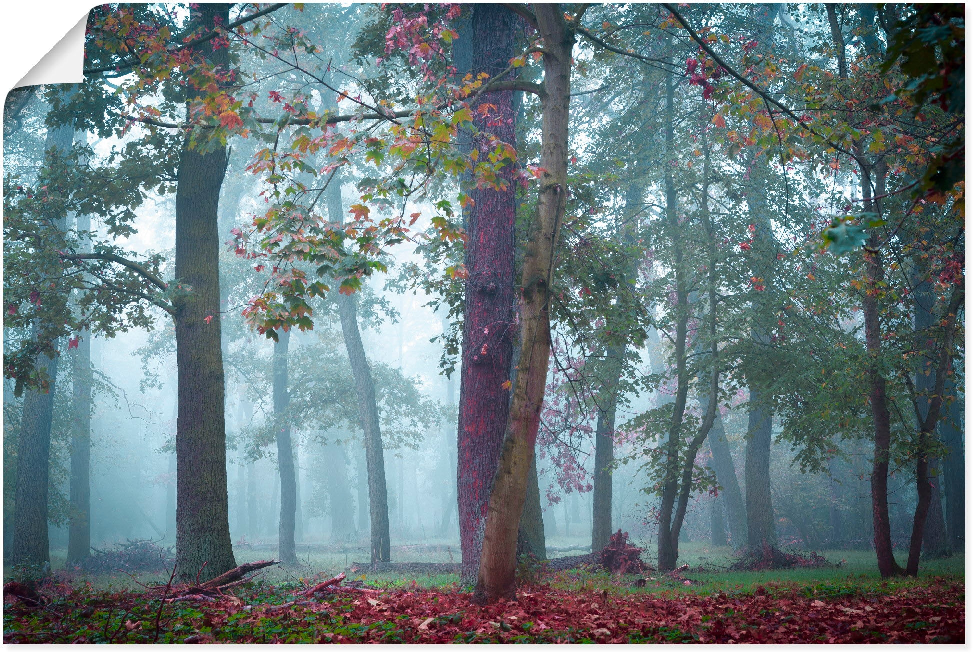 Artland Wandbild »Nebel im versch. als (1 Wald«, Waldbilder, Alubild, Poster BAUR oder Größen bestellen | in Wandaufkleber Leinwandbild, St.)