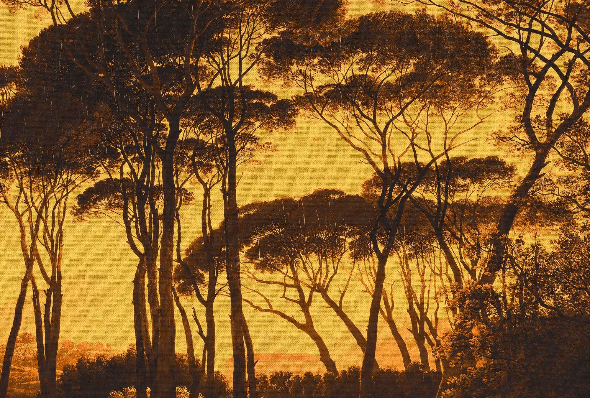 Architects Paper Fototapete "Atelier 47 Treetops 2" Wald glatt Vlies, Wand, Schräge, Decke