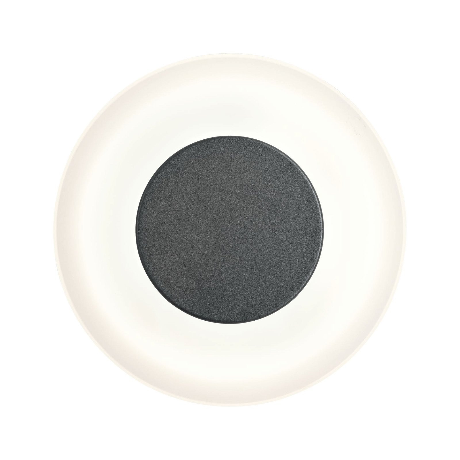 Paulmann LED Außen-Wandleuchte »Circea IP44 220mm 3000K 4W 90lm 230V Anthrazit Aluminium«, 1 flammig