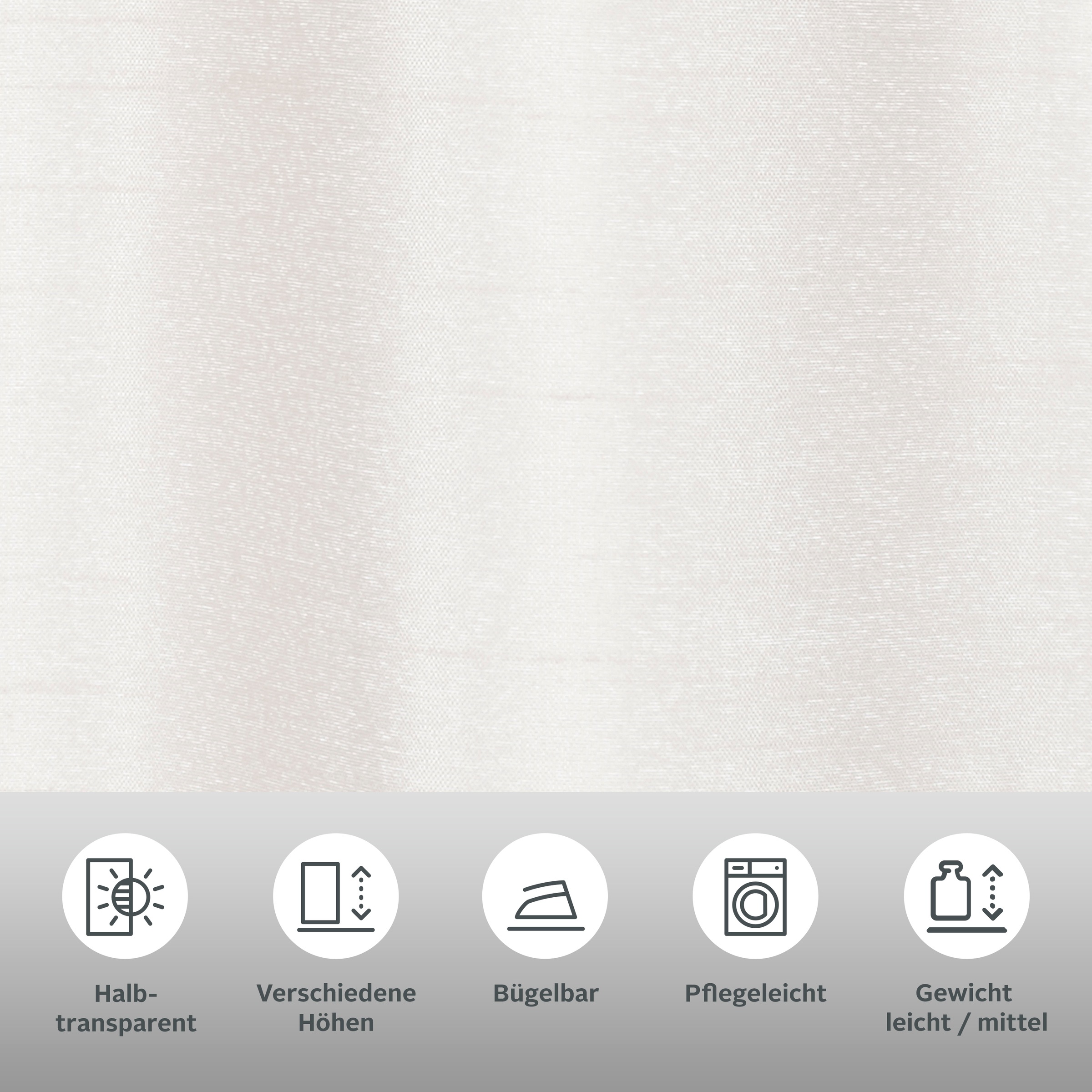 my home Scheibengardine "VENEDIG" Stangendurchzug 1 Stk. tlg. Fertiggardine günstig online kaufen