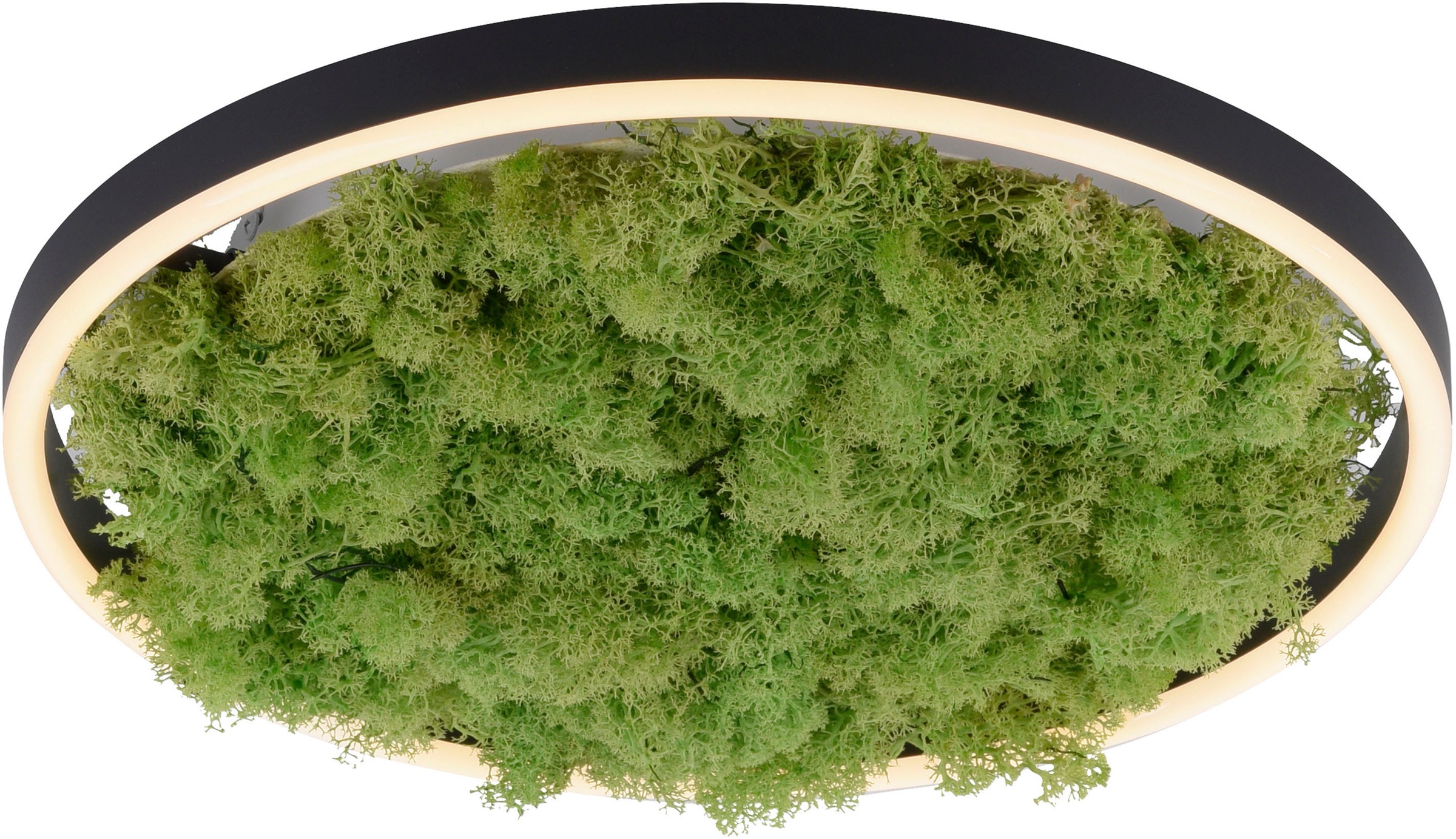 JUST LIGHT Deckenleuchte »GREEN RITU«, 1 flammig, Leuchtmittel LED-Board | LED fest integriert