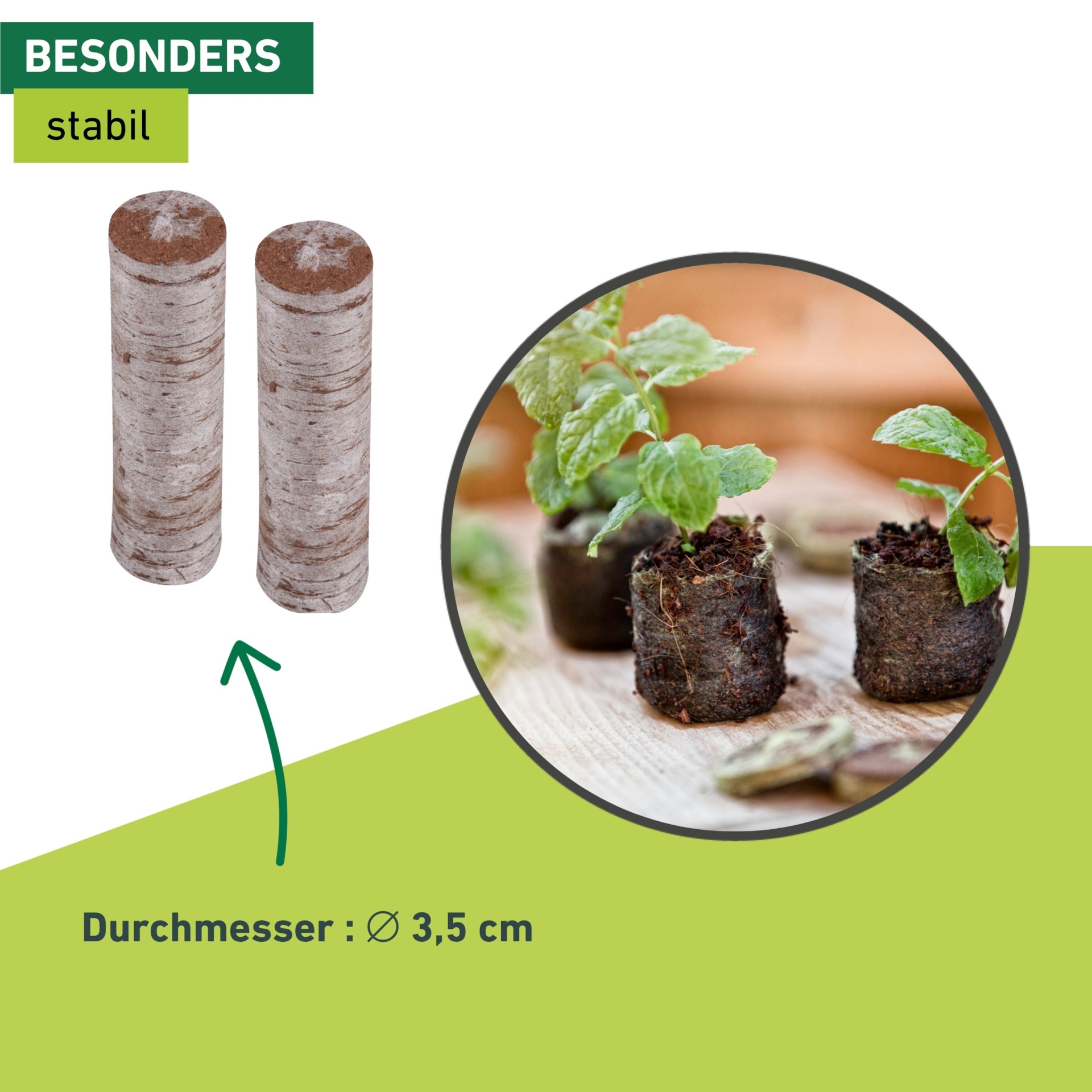 Windhager Anzucht- und Kräutererde »Quelltabs 50 Stk. aus natürlichem Kokos« Anzucht Quelltabs torffrei mit feinmaschigem Netz, 3,5 cm