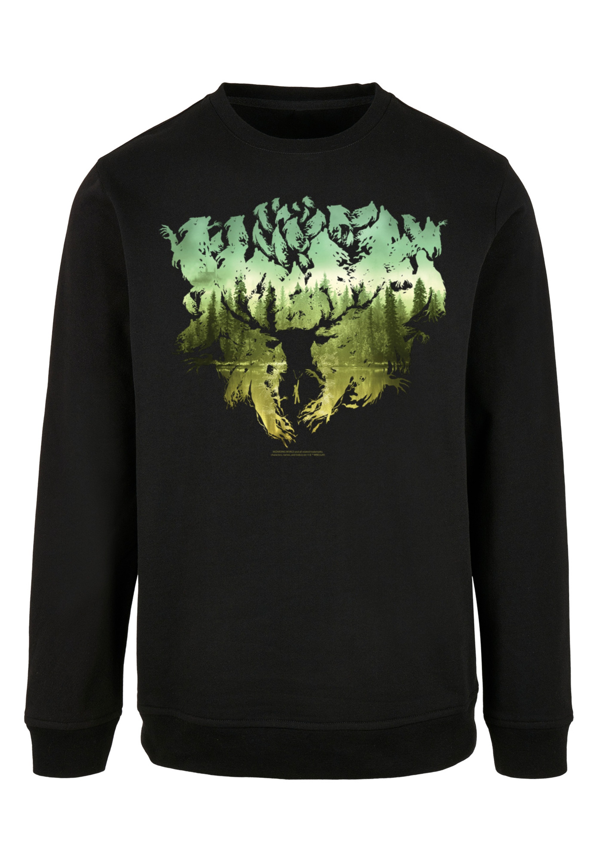 F4NT4STIC Sweatshirt »Harry Potter Magical Forest«, Print