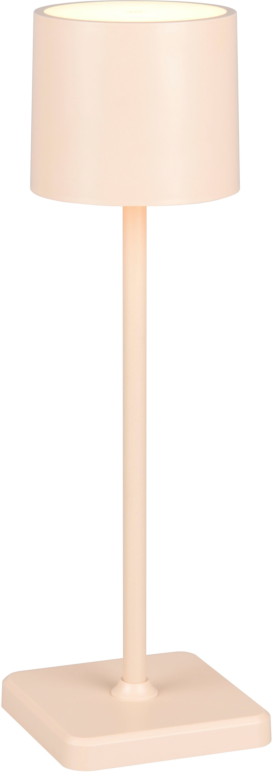 REALITY Leuchten »Fernandez« LED-Board 1 Stk. Farbwechsler | warmweiß - kaltweiß Garten Akku Tischlampe USB Ladestation dimmbar Lichtfarbe einstellbar