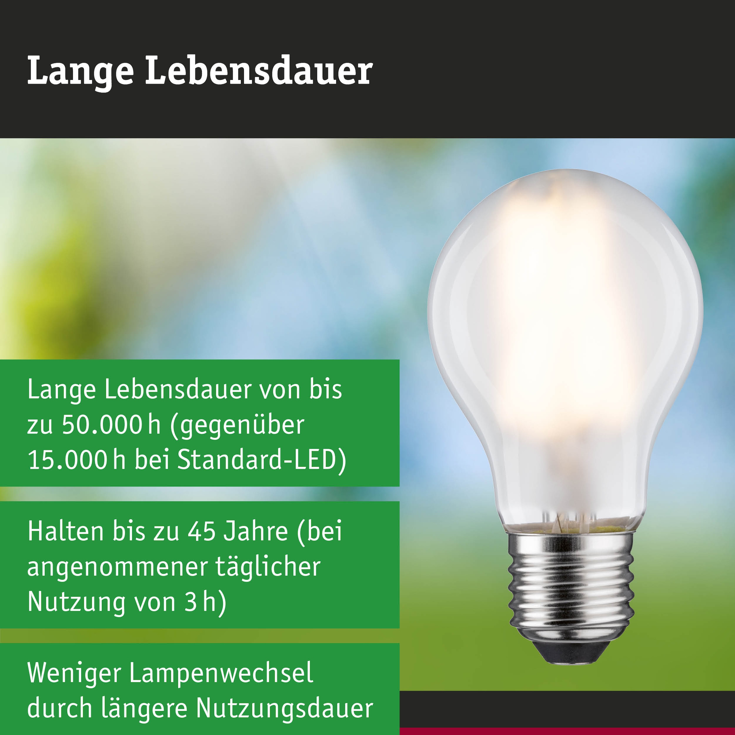 Paulmann LED-Leuchtmittel »Efficient-Line Filament 230V LED Birne E27 1er-Set 840lm 4W 3000K Matt« E27 1 Stk. Warmweiß