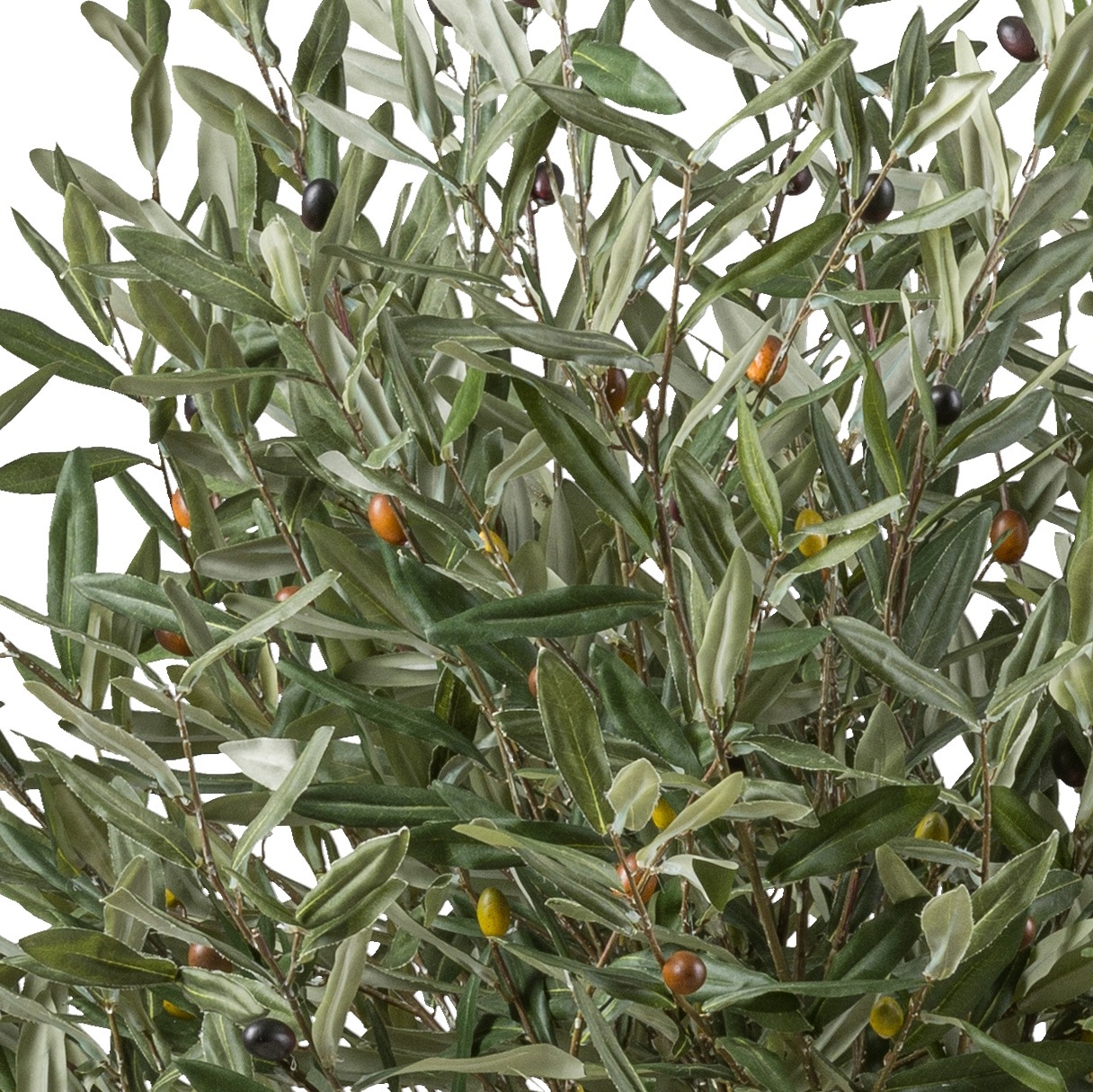 Creativ green Kunstbaum »Olive«, mit echtem Holzstamm