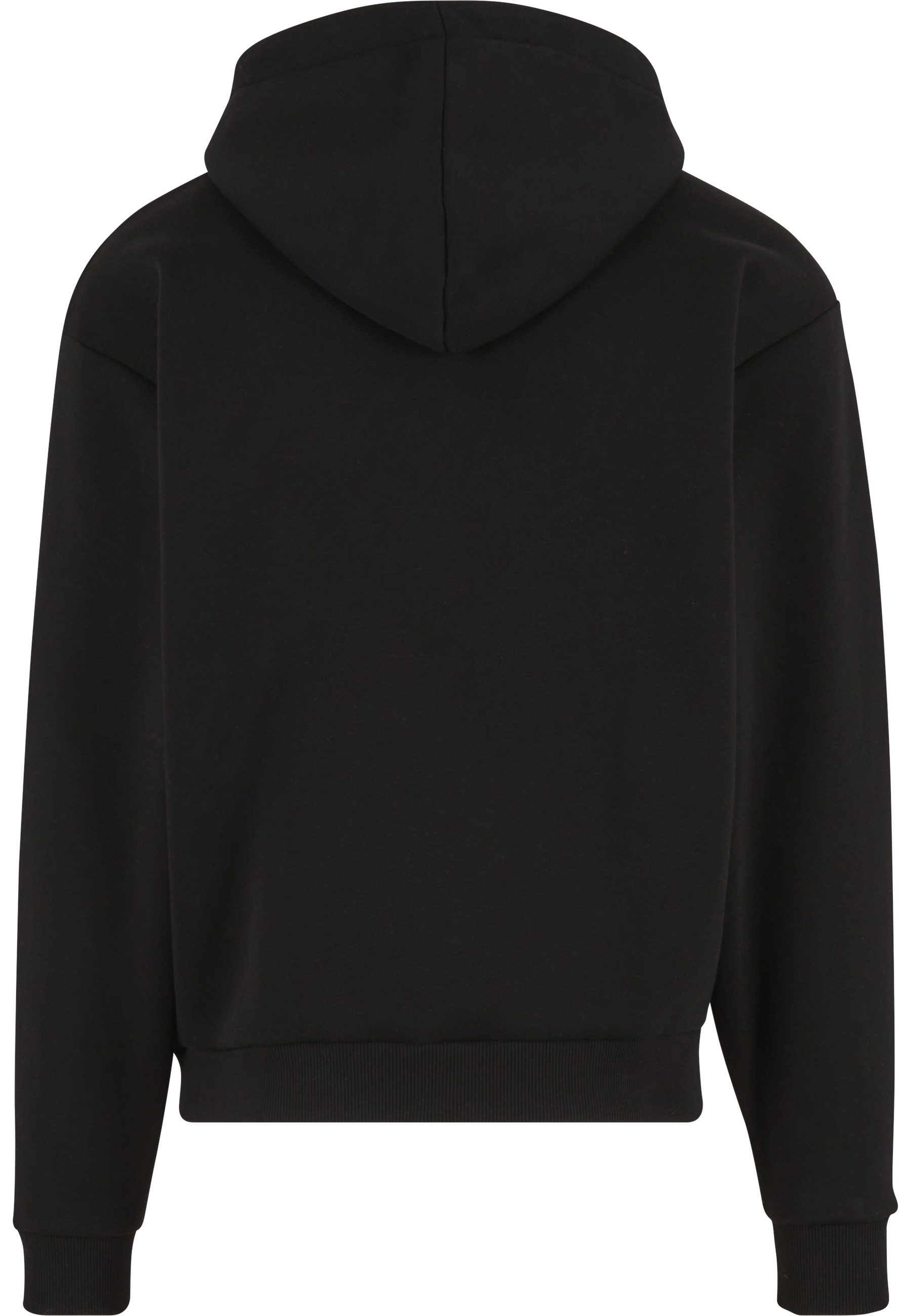 Karl Kani Kapuzenpullover "Karl Kani Karl Kani Chest Signature Essential OS günstig online kaufen
