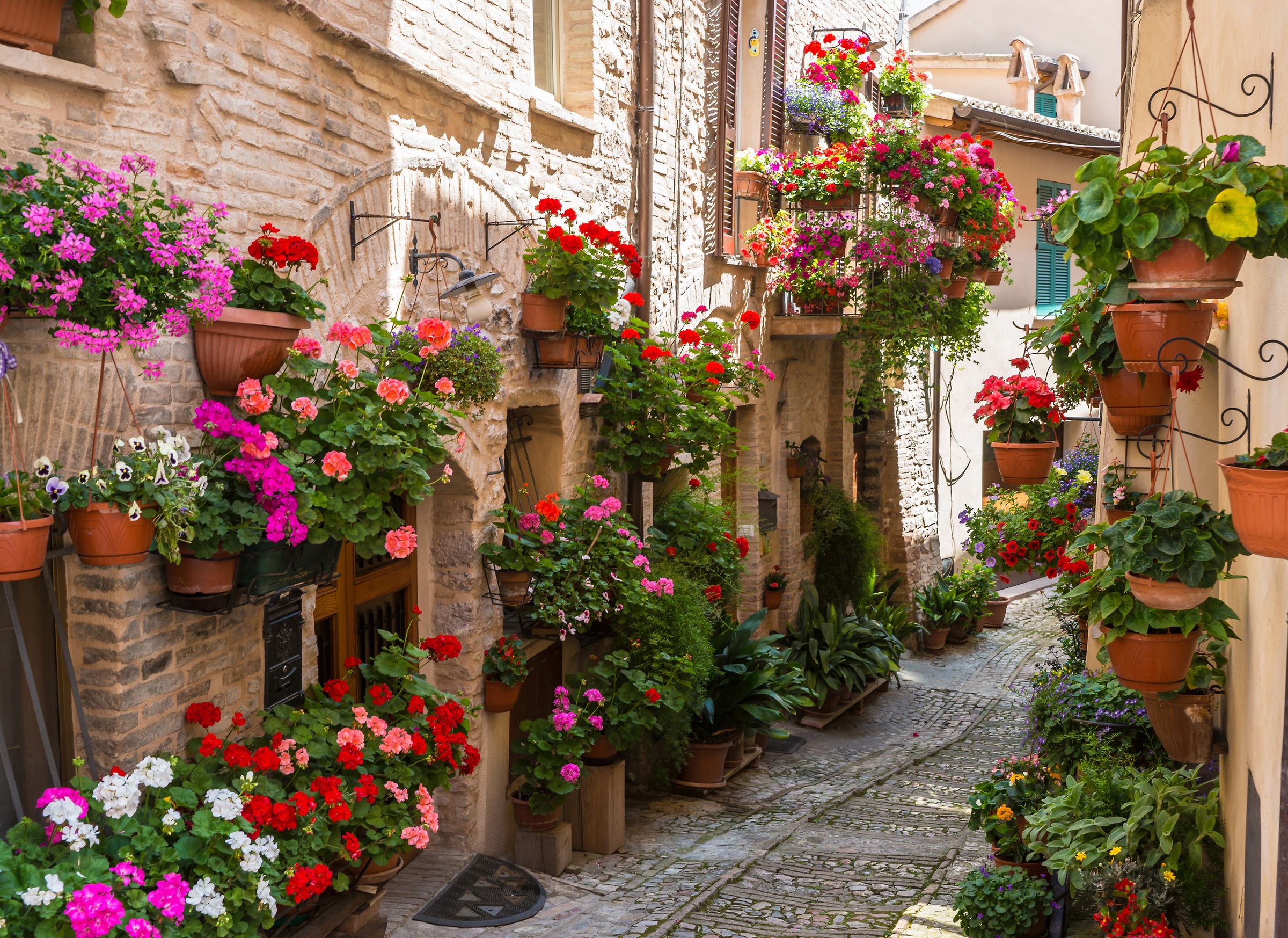 Papermoon Fototapete »Flower Alley in Spello« glatt