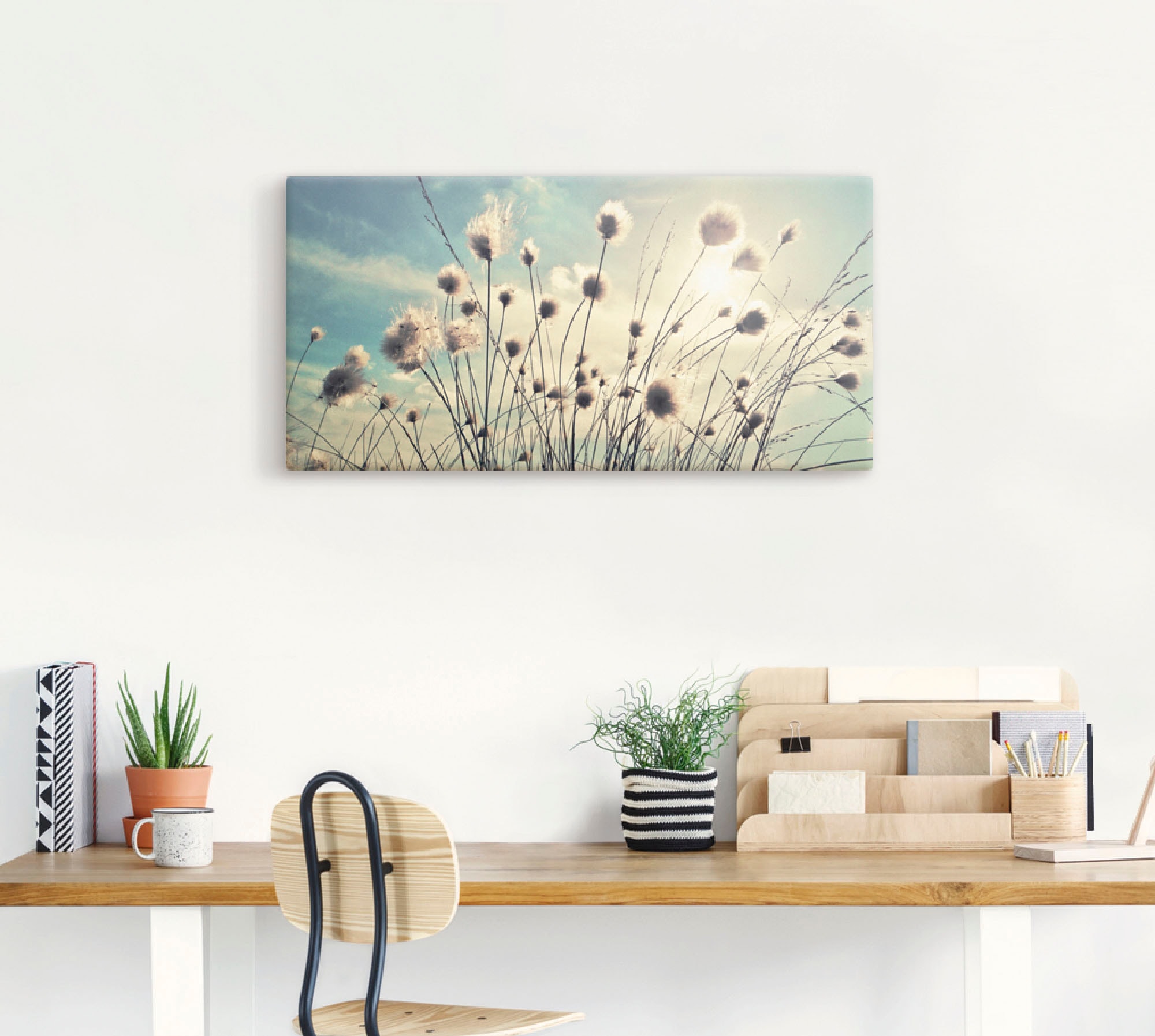 Artland Wandbild »Wollgras« Gräser 1 Stk. tlg. als Alubild, Leinwandbild in verschied. Größen