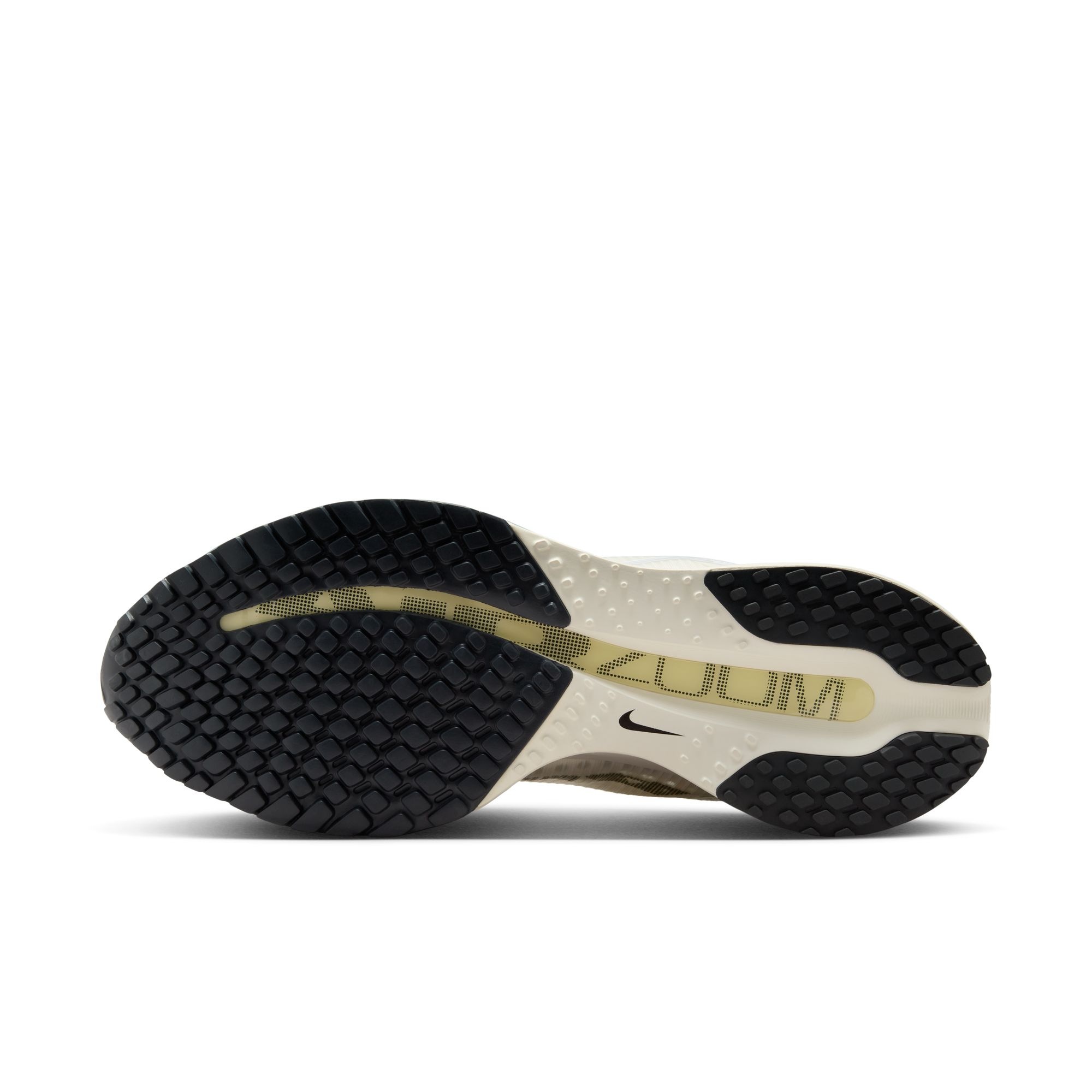 Nike Laufschuh »W NIKE PEGASUS PREMIUM«