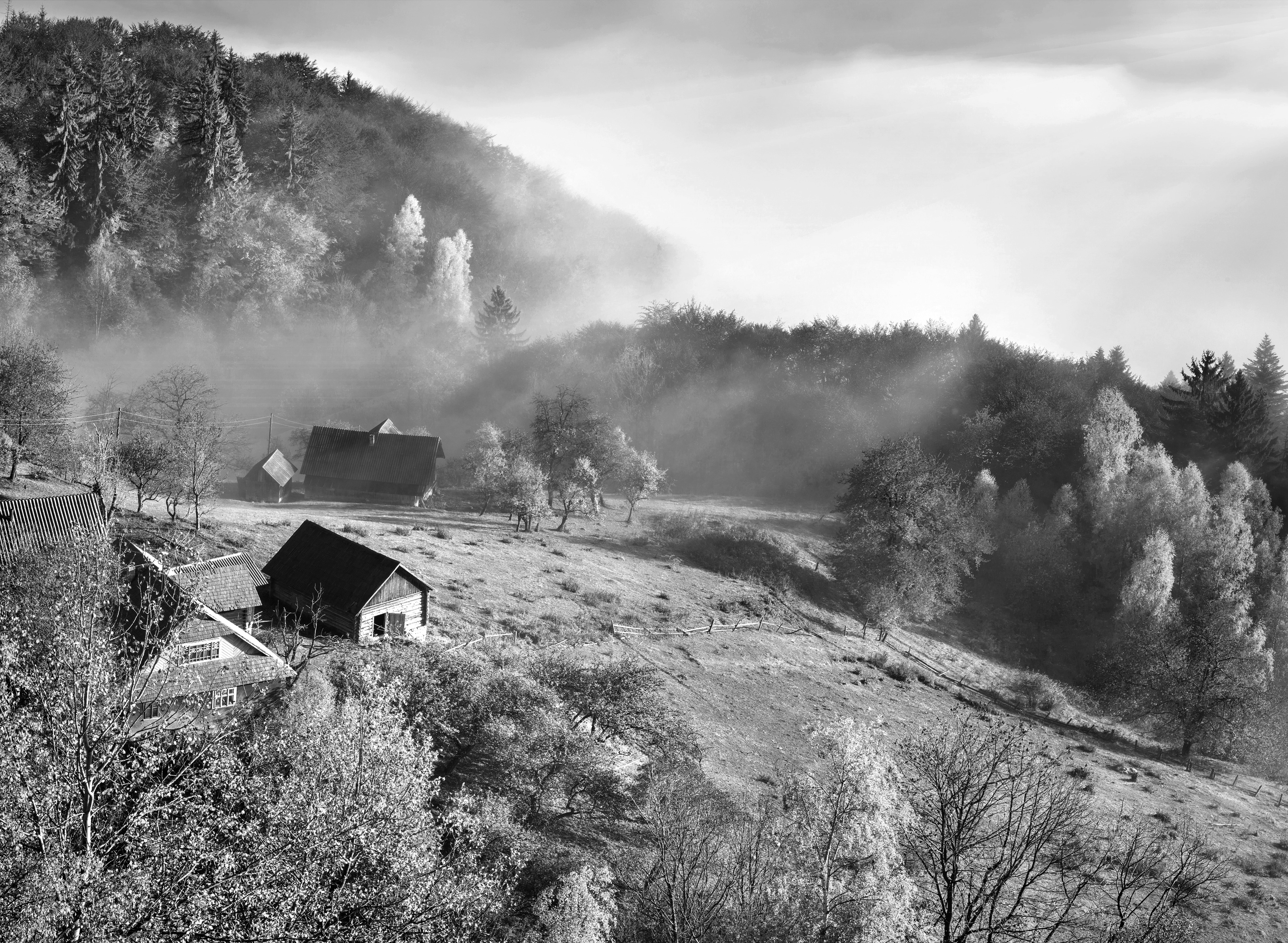 Papermoon Fototapete "Landschaft schwarz & weiß"
