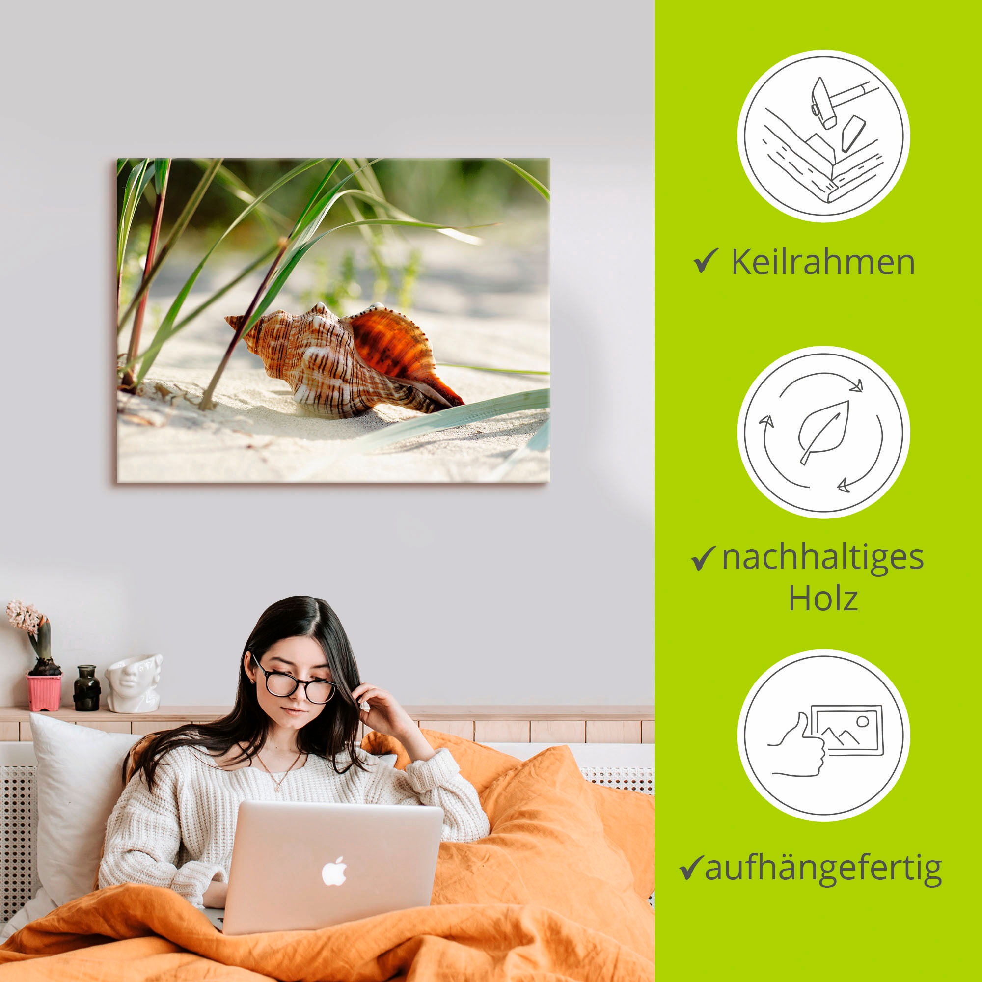 Artland Wandbild »Große Muschel am Strand«, Wassertiere, (1 St.), als Leinwandbild, Poster, Wandaufkleber in verschied. Größen