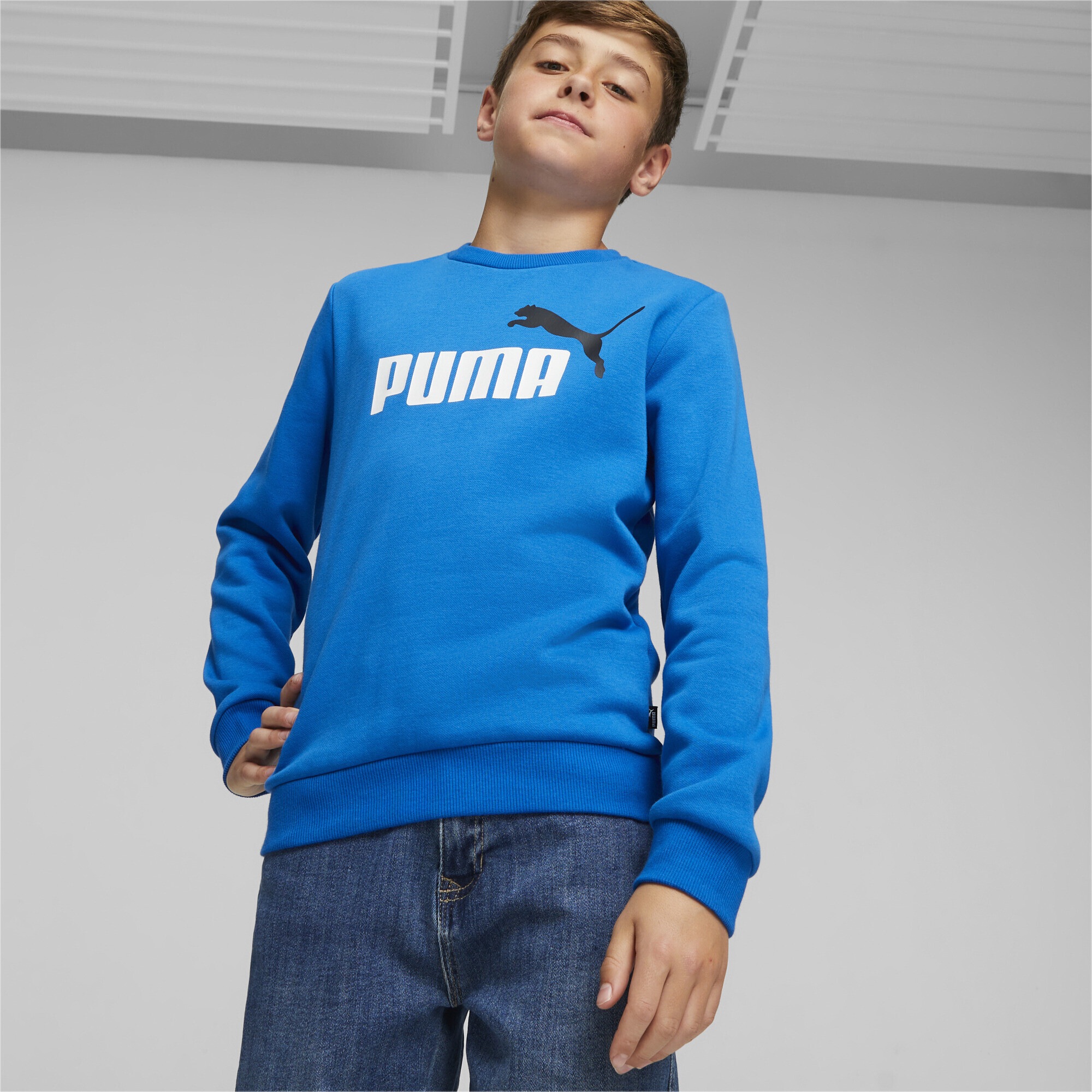 PUMA Sweatshirt »Essentials+ Two-Tone Big Logo Jugend Sweatshirt« ▷ für |  BAUR | Sweatshirts