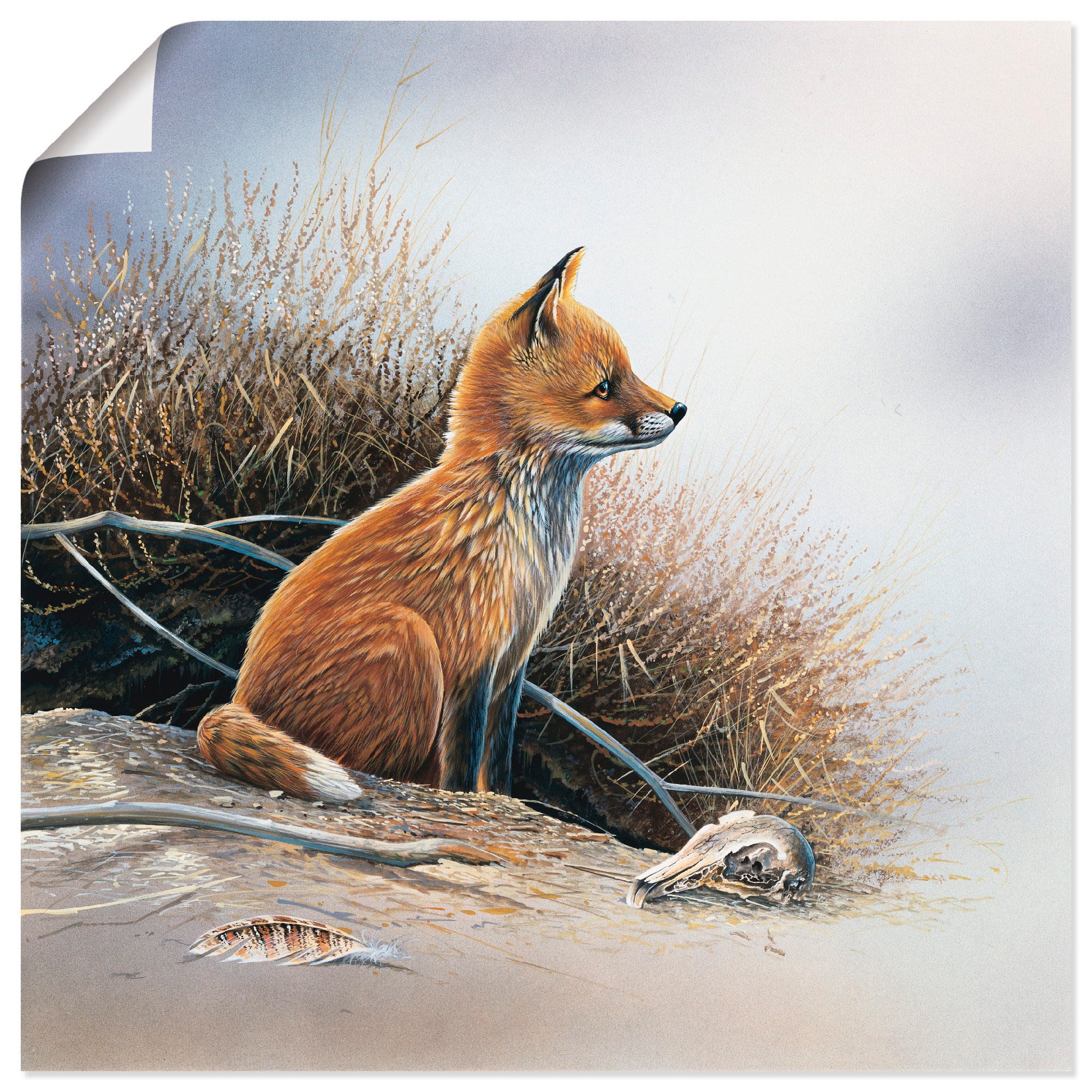 Artland Wandbild »Kleiner Fuchs«, Wildtiere, (1 St.), als Leinwandbild, Poster in verschied. Größen