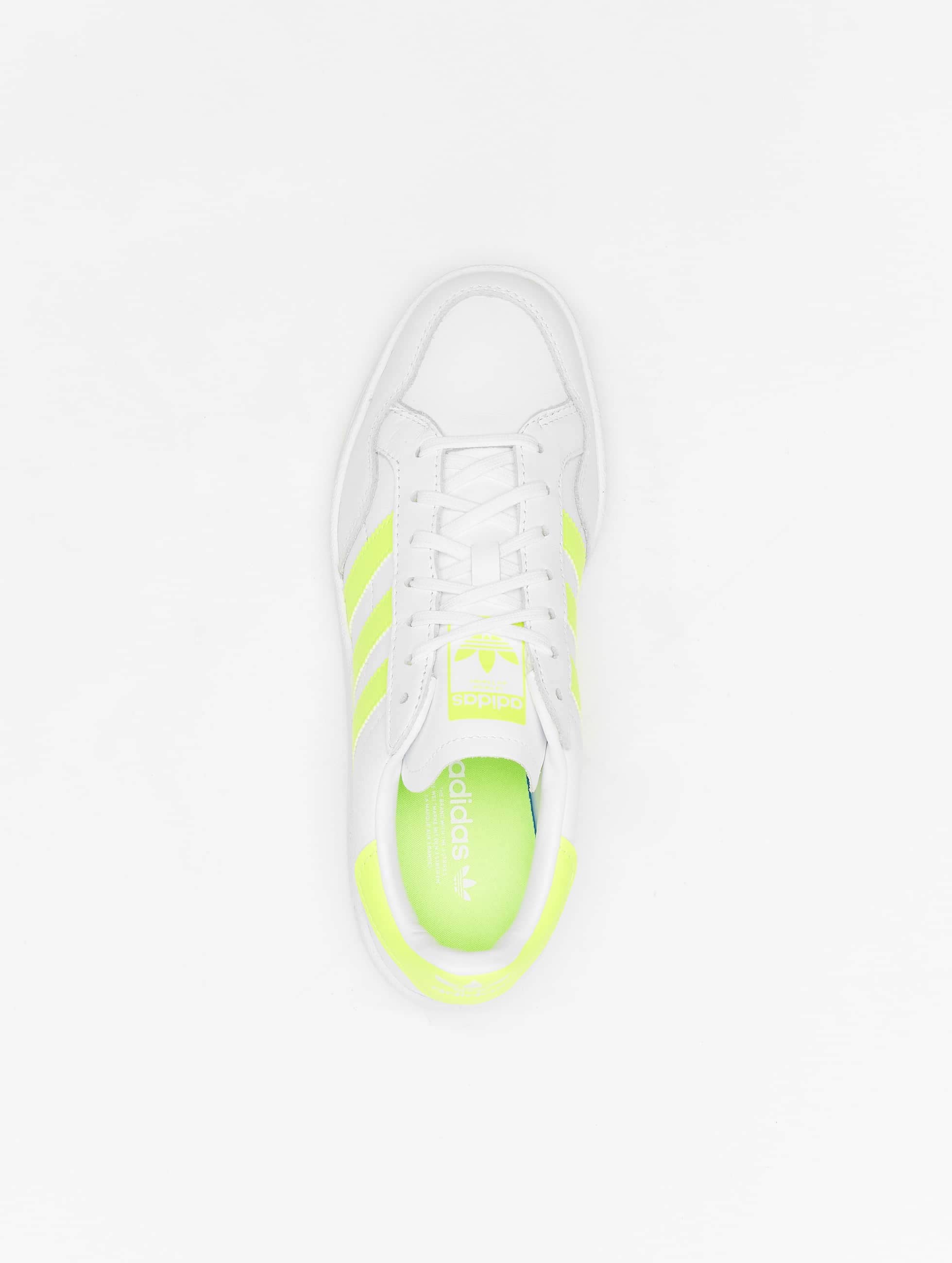Trainingsschuh »Damen adidas TEAM COURT Schuhe«, (1 tlg.)