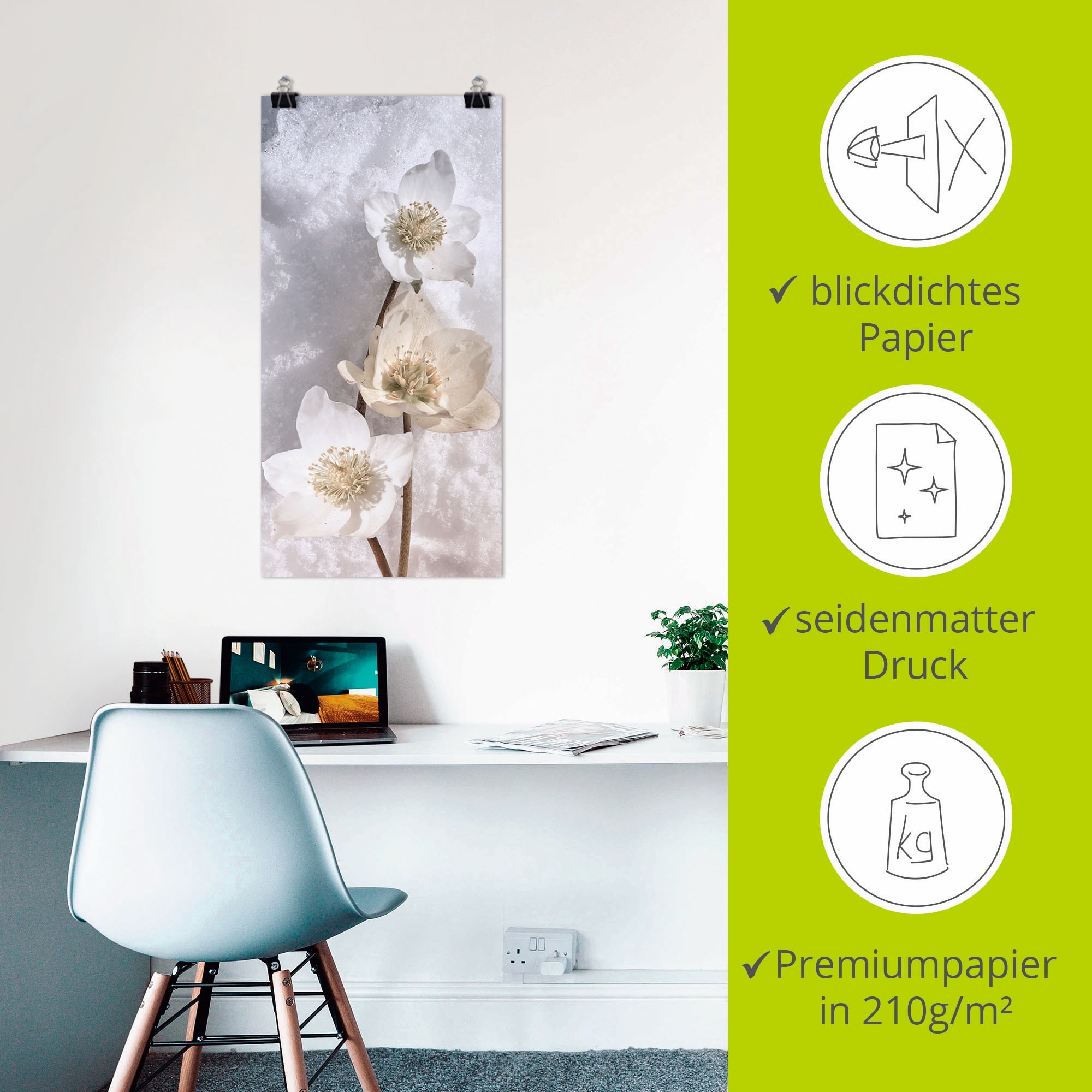 Artland Wandbild »Christrose im Schnee«, Blumen, (1 St.), als Leinwandbild, Poster in verschied. Größen