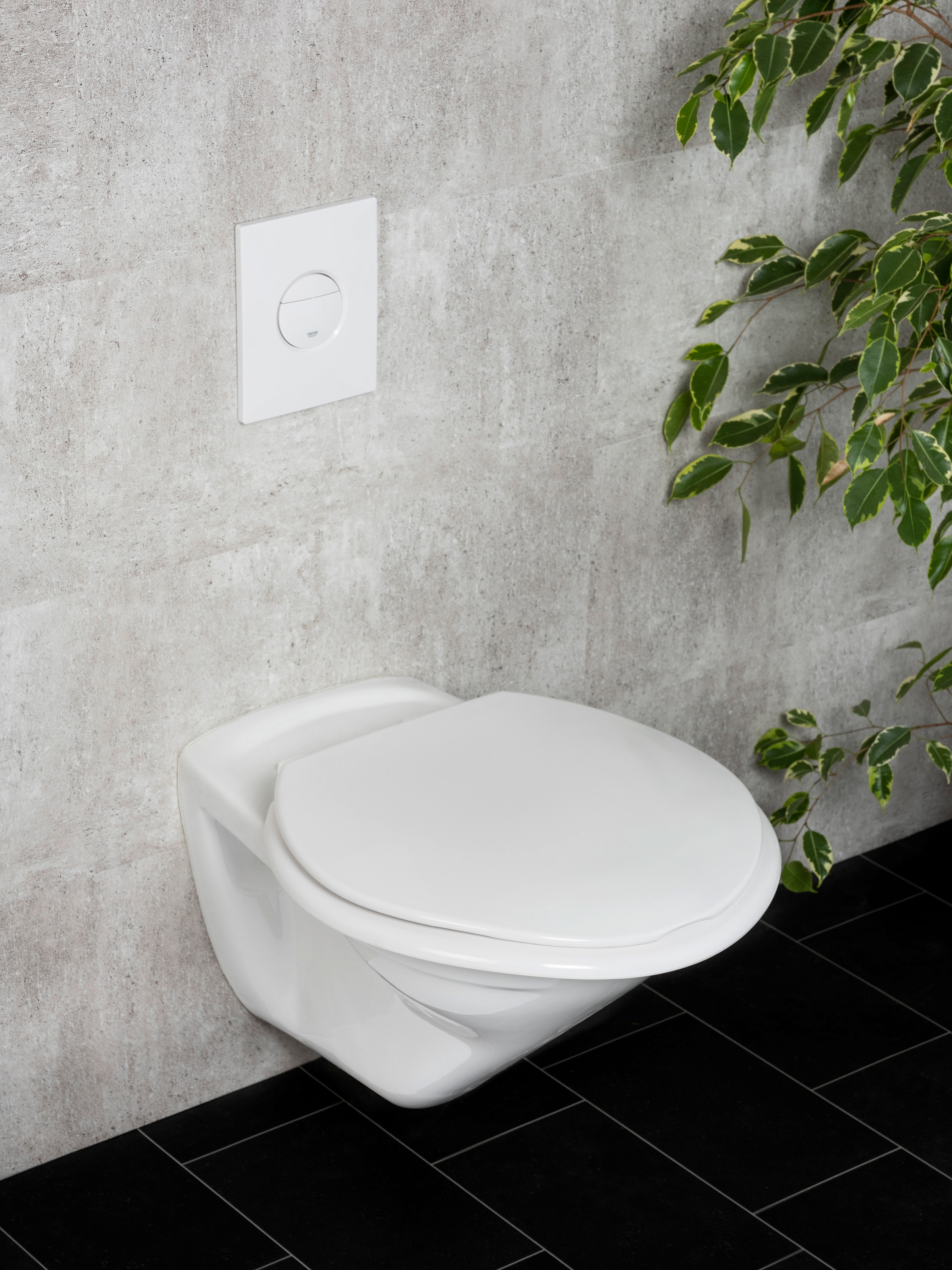 WENKO WC-Sitz »Torino XXL«, extra breit, belastbar mit bis zu 300 kg