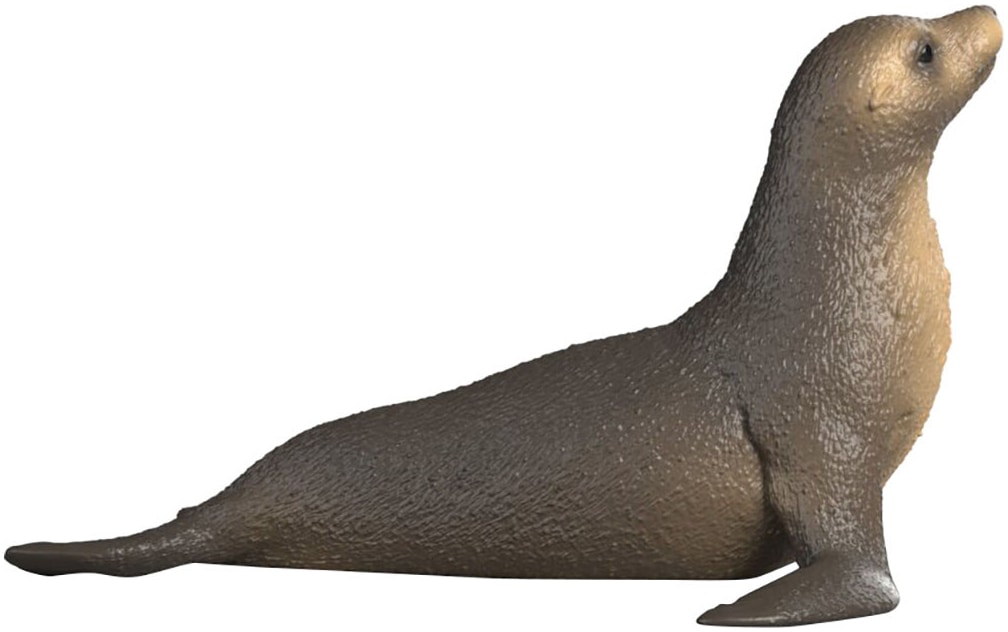 Schleich® Spielfigur »WILD LIFE, Seelöwe (14933)«