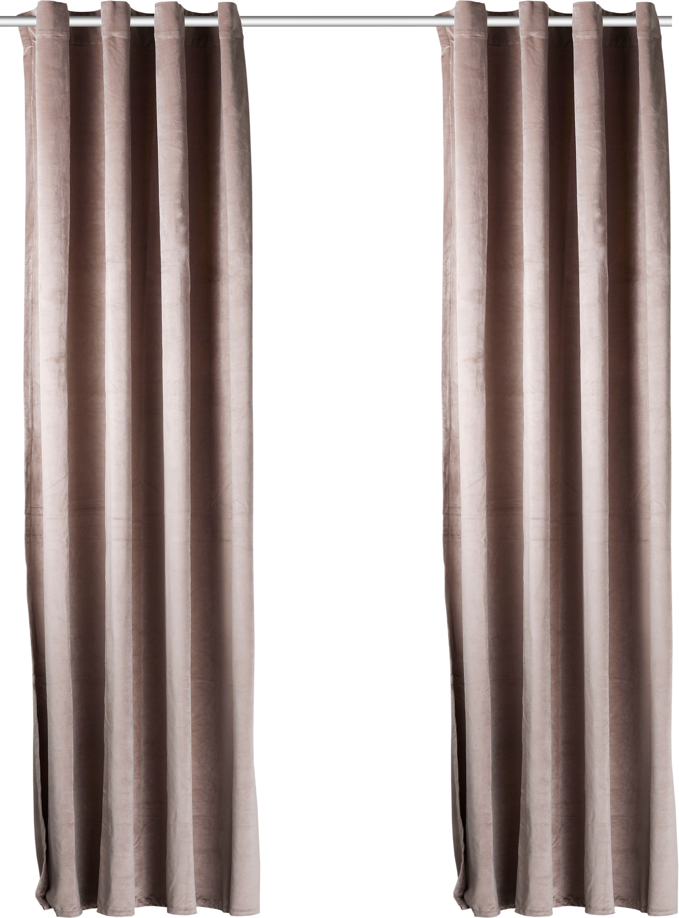 my home Vorhang "Velvet Uni" Ösen 2 Stk. tlg. Blickdichter Samt, 2-er Set, günstig online kaufen