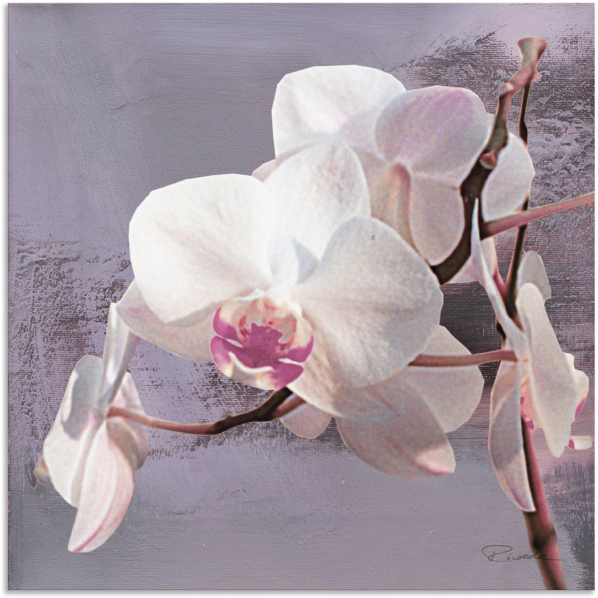 Artland Wandbild "Orchideen vor Violett I", Blumen, (1 St.), als Alubild, O günstig online kaufen