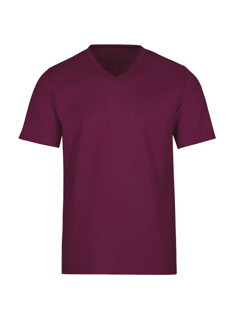 Trigema T-Shirt "TRIGEMA V-Shirt DELUXE Baumwolle" 1 Stk. tlg. günstig online kaufen